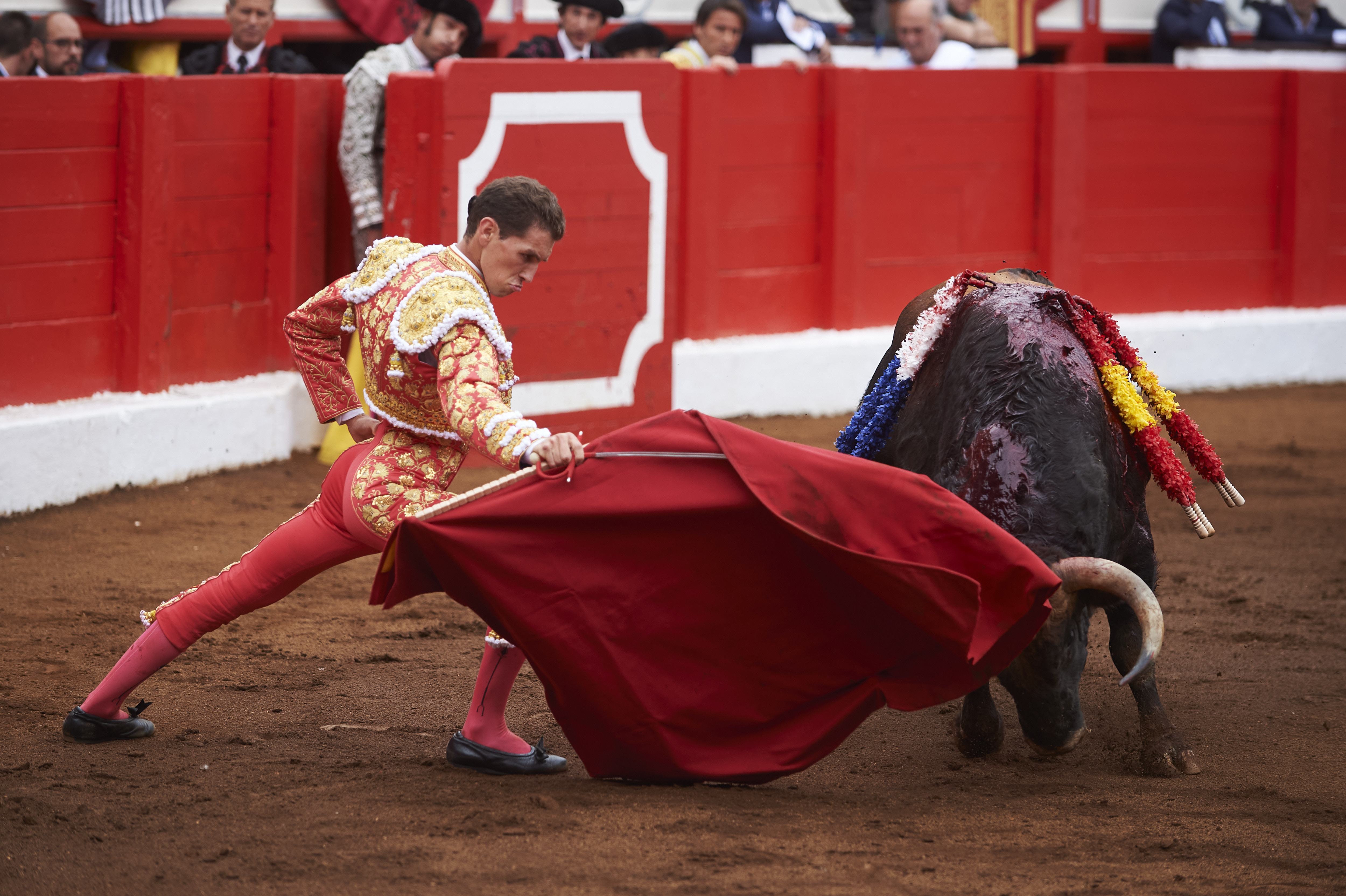 <p>© Foto: César Ortiz</p>