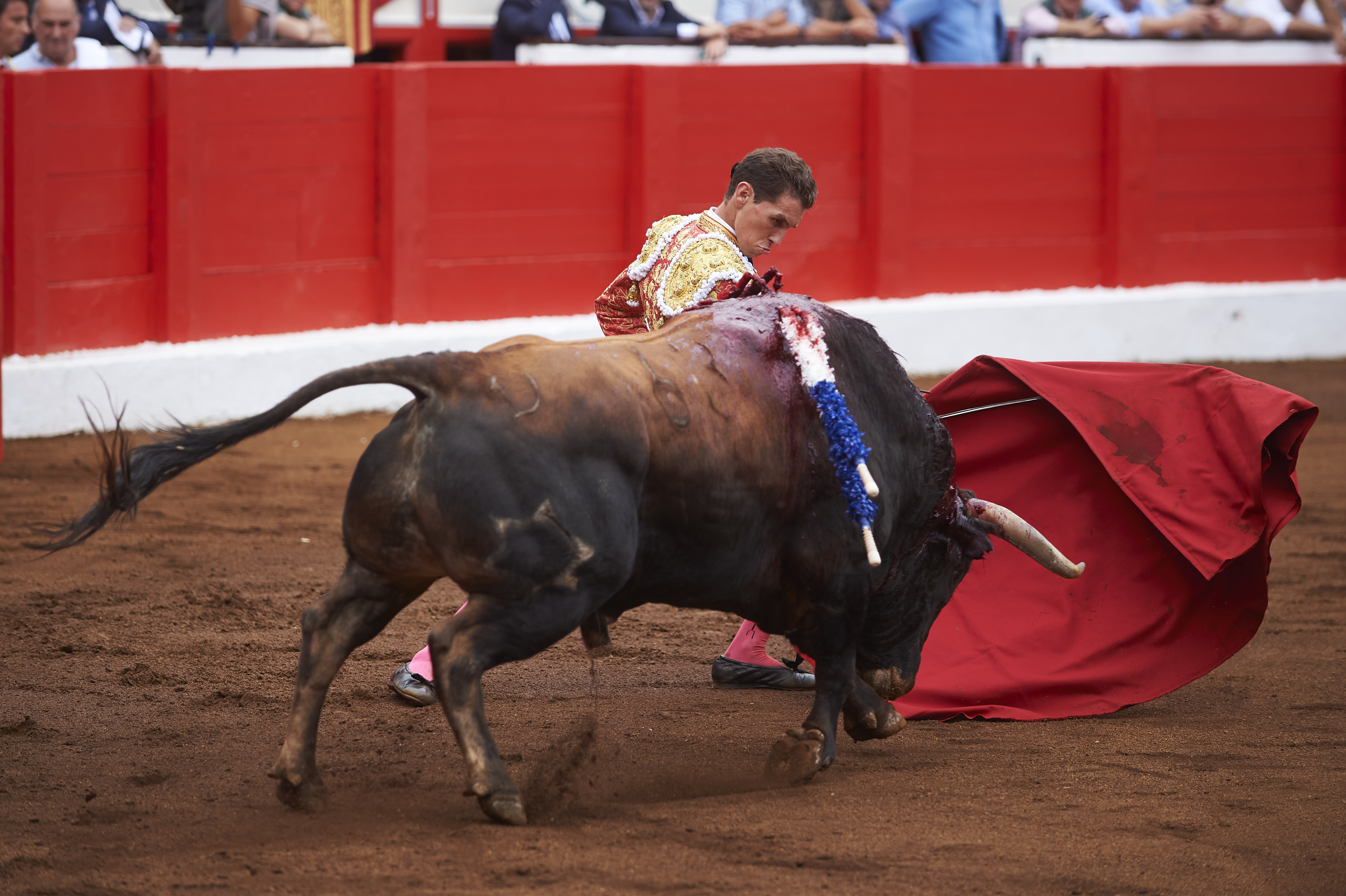 <p>© Foto: César Ortiz</p>