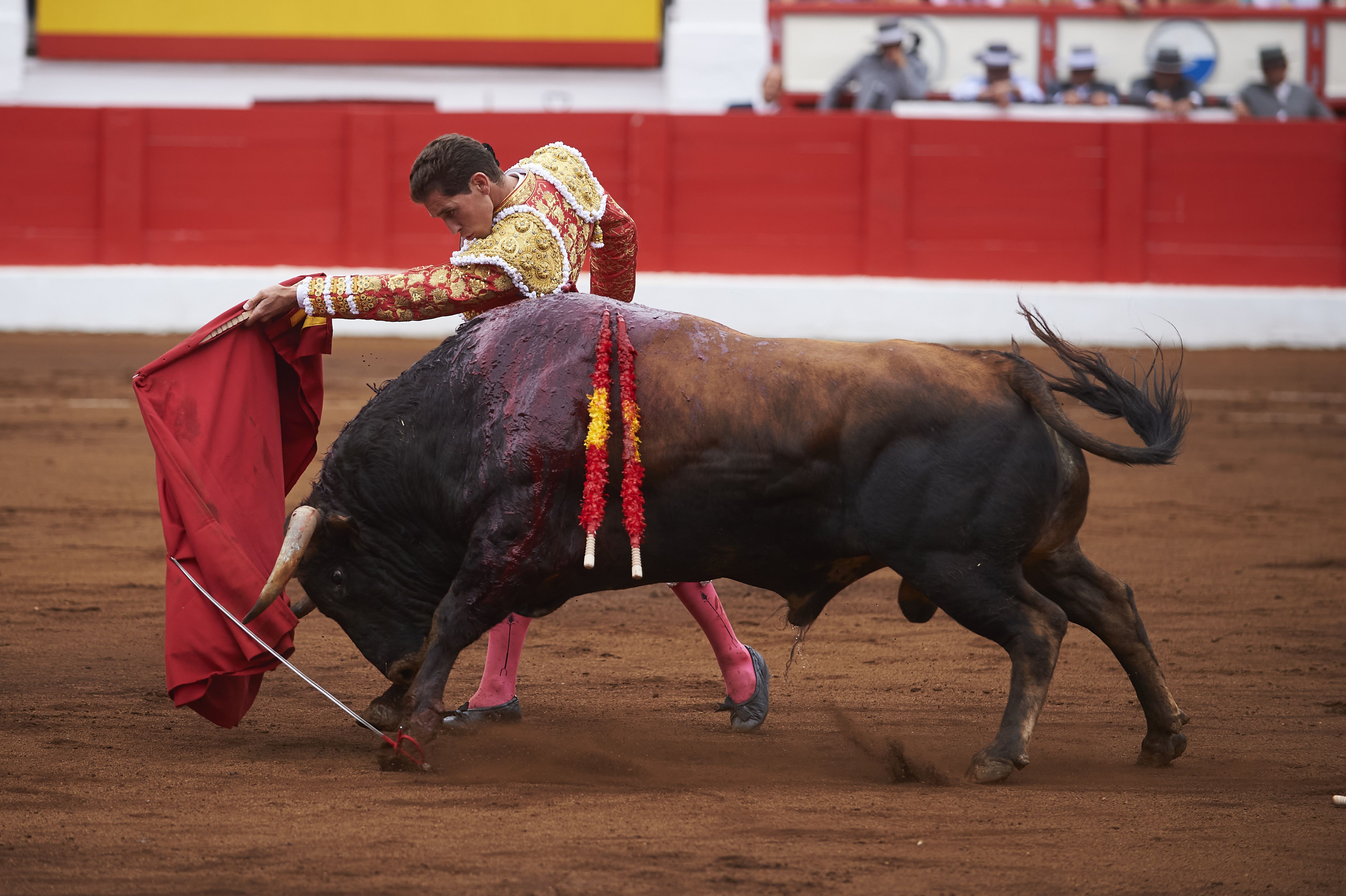 <p>© Foto: César Ortiz</p>