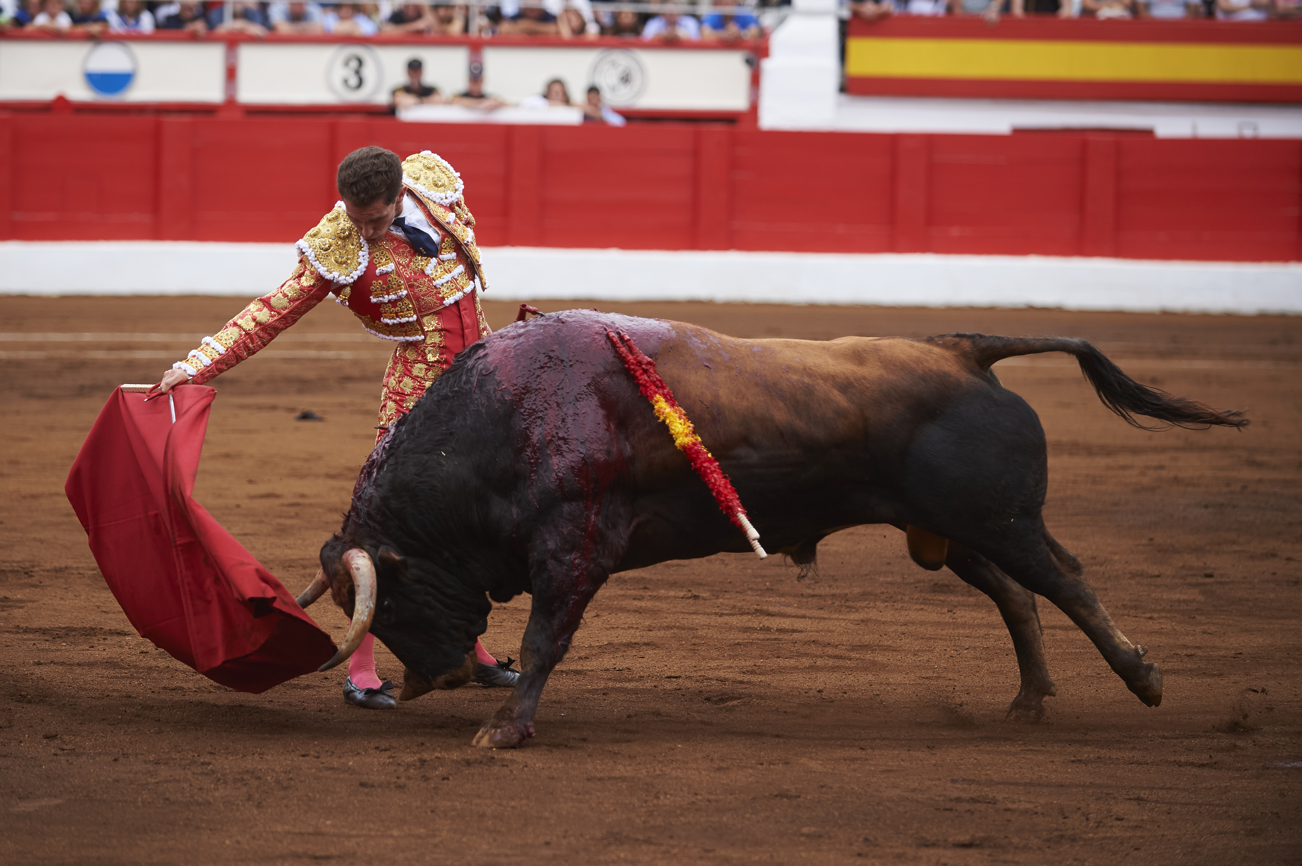 <p>© Foto: César Ortiz</p>