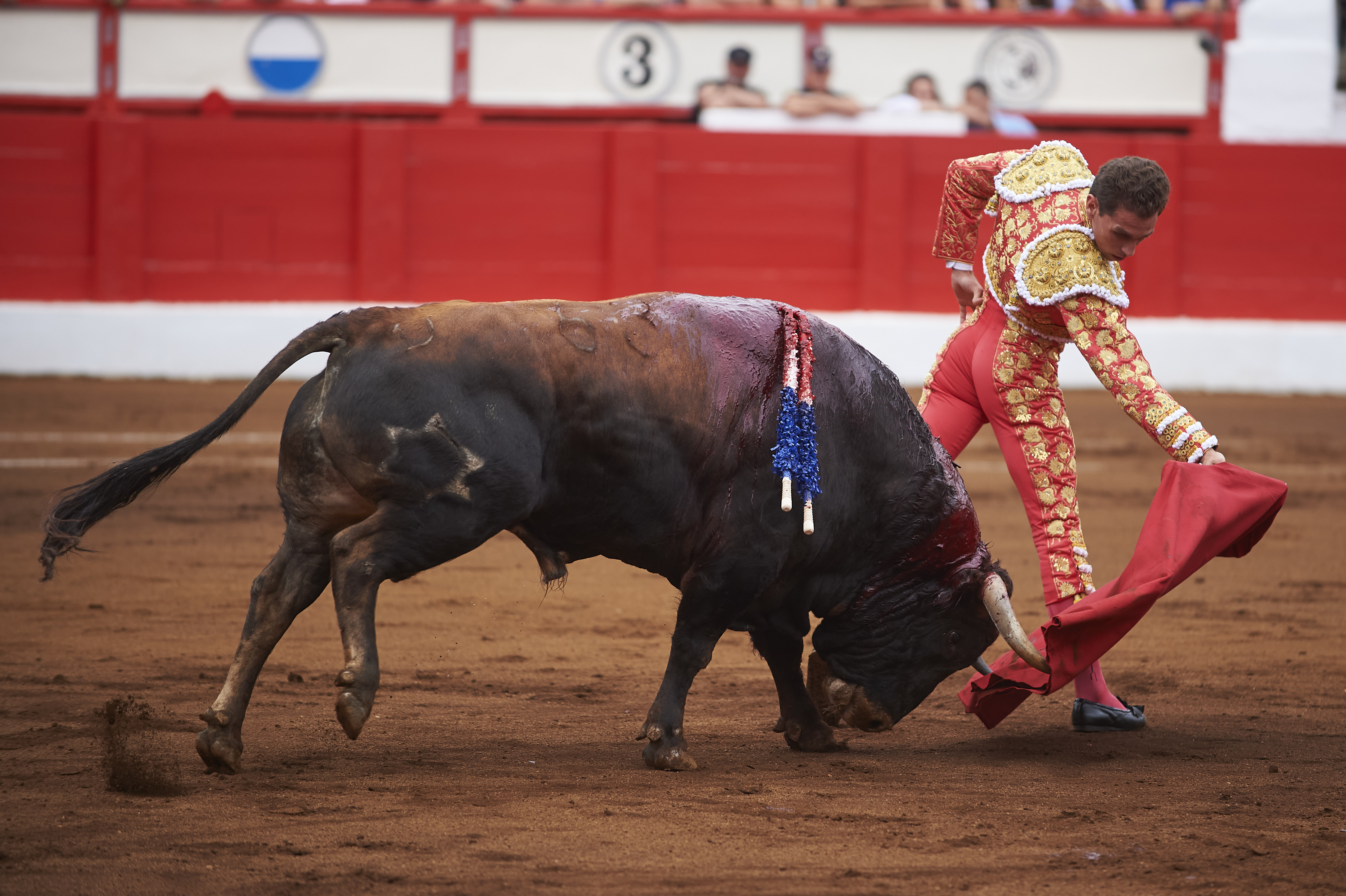 <p>© Foto: César Ortiz</p>