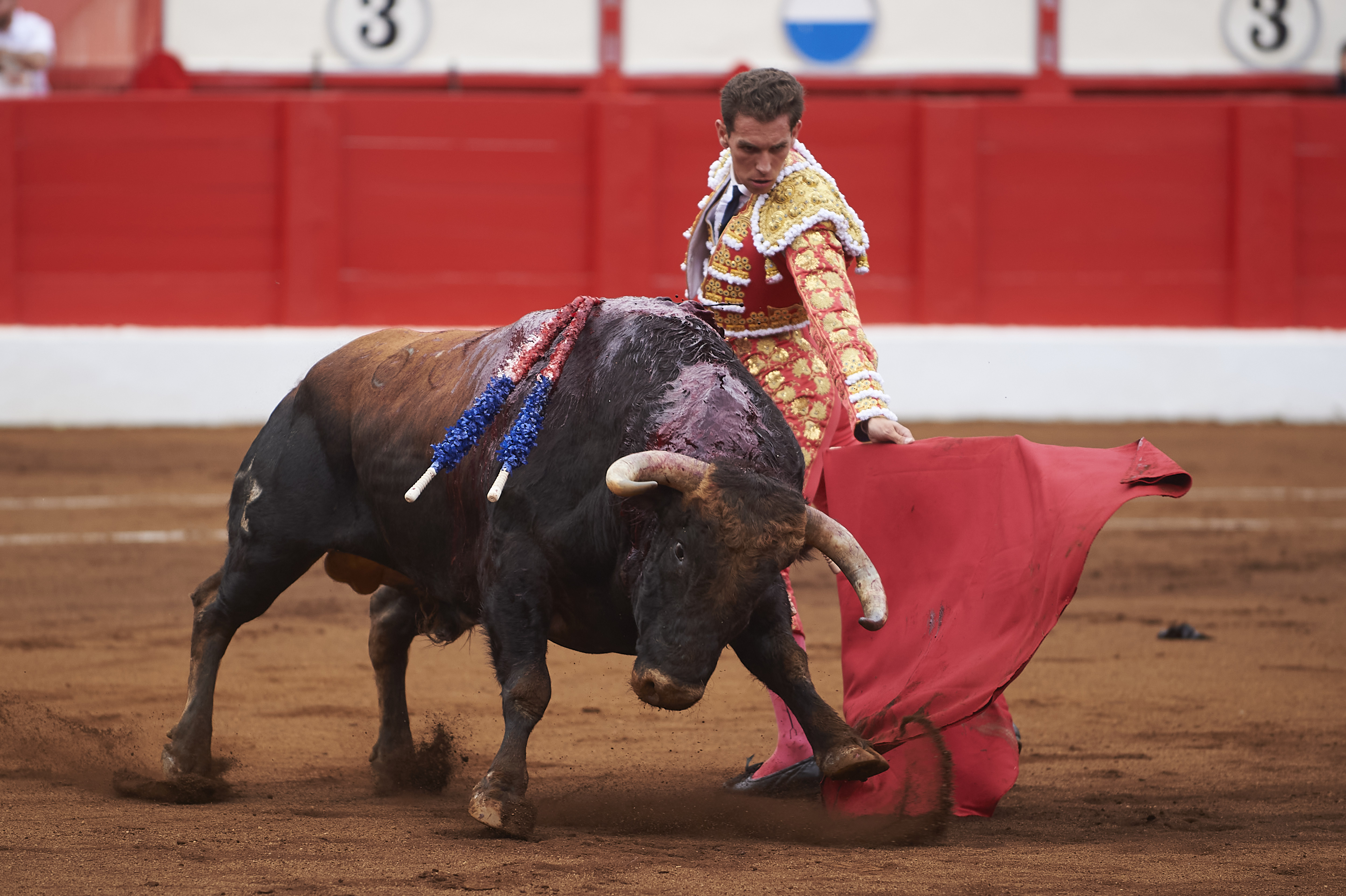 <p>© Foto: César Ortiz</p>