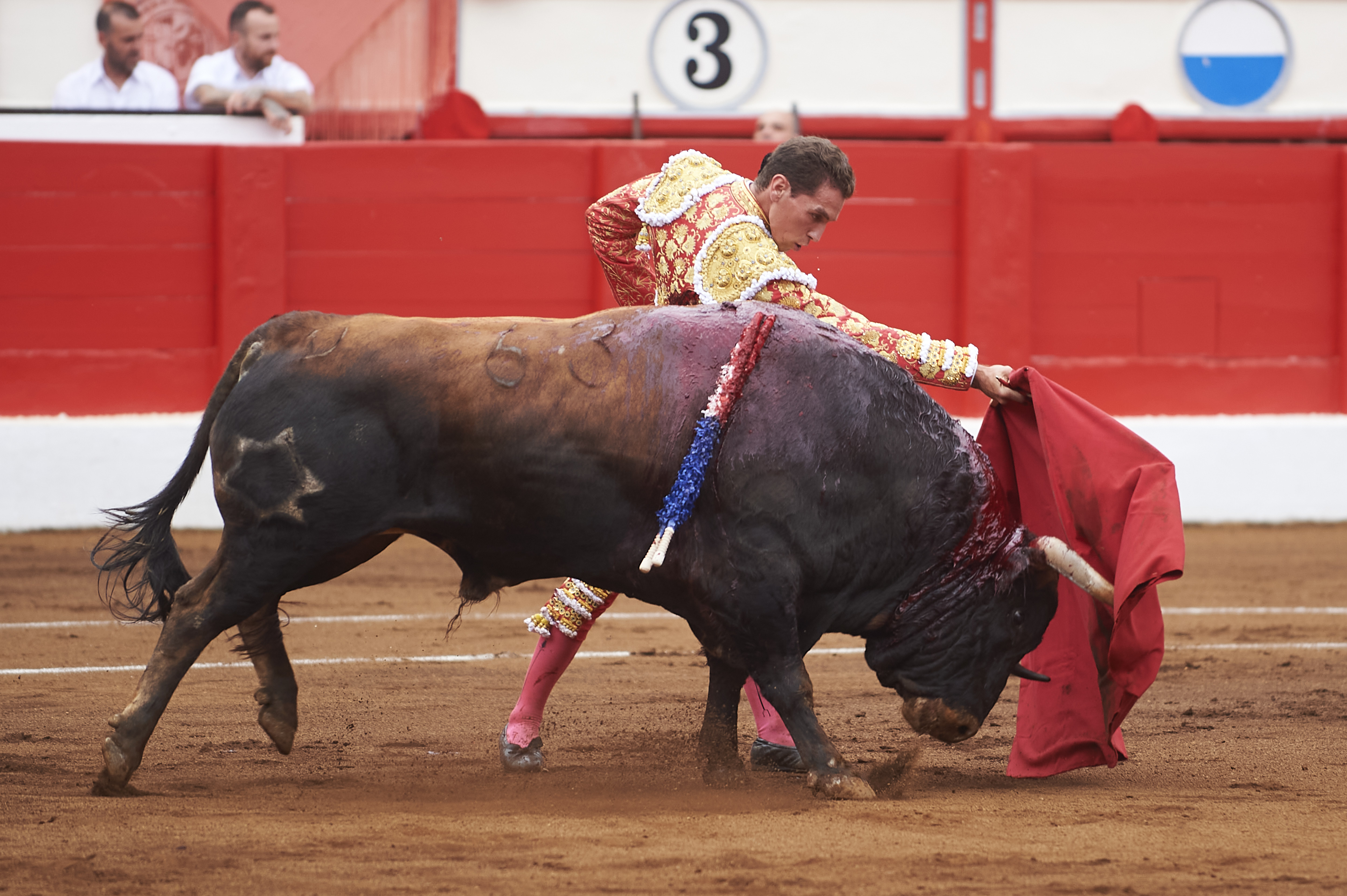 <p>© Foto: César Ortiz</p>