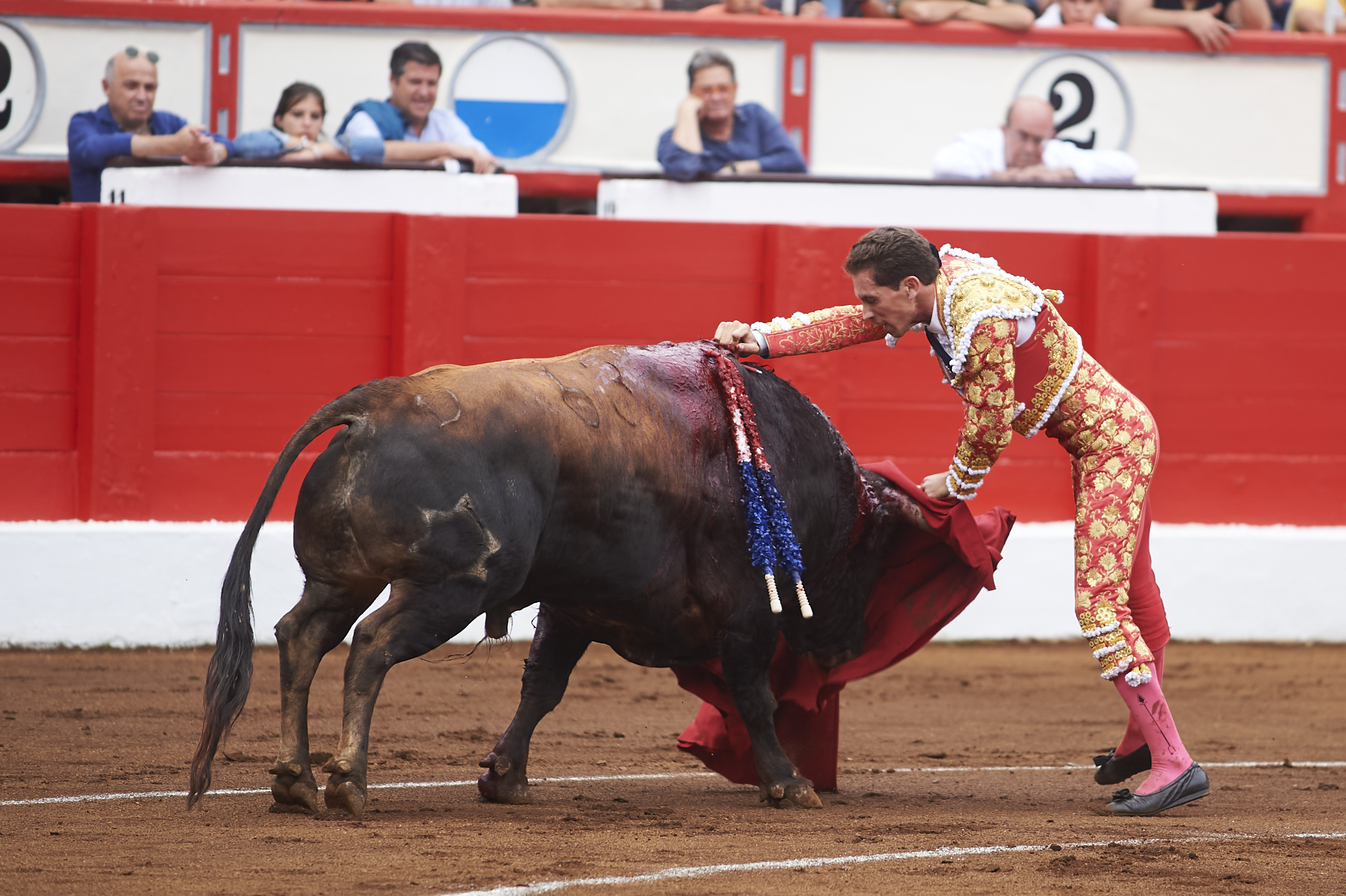 <p>© Foto: César Ortiz</p>