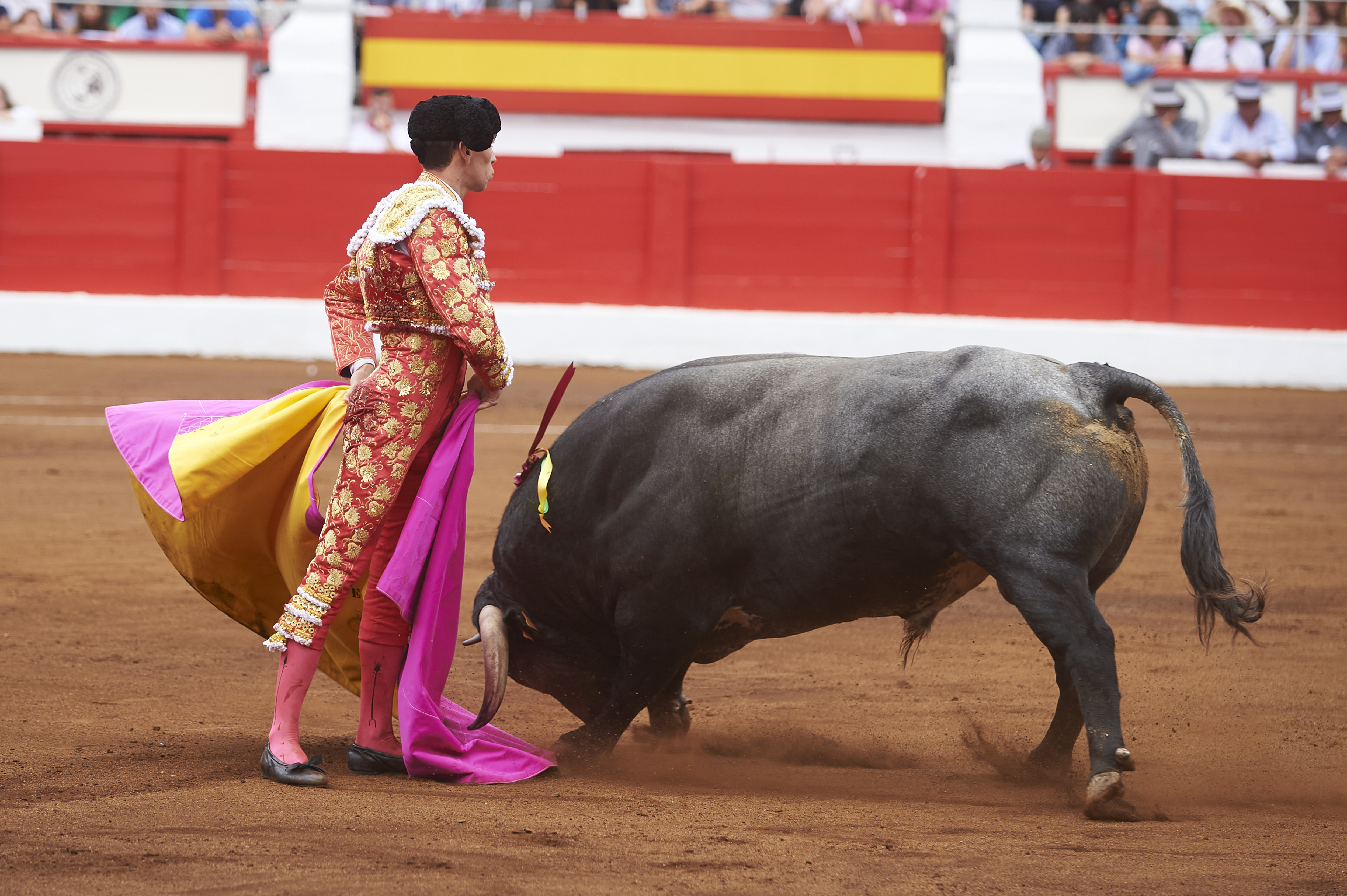 <p>© Foto: César Ortiz</p>