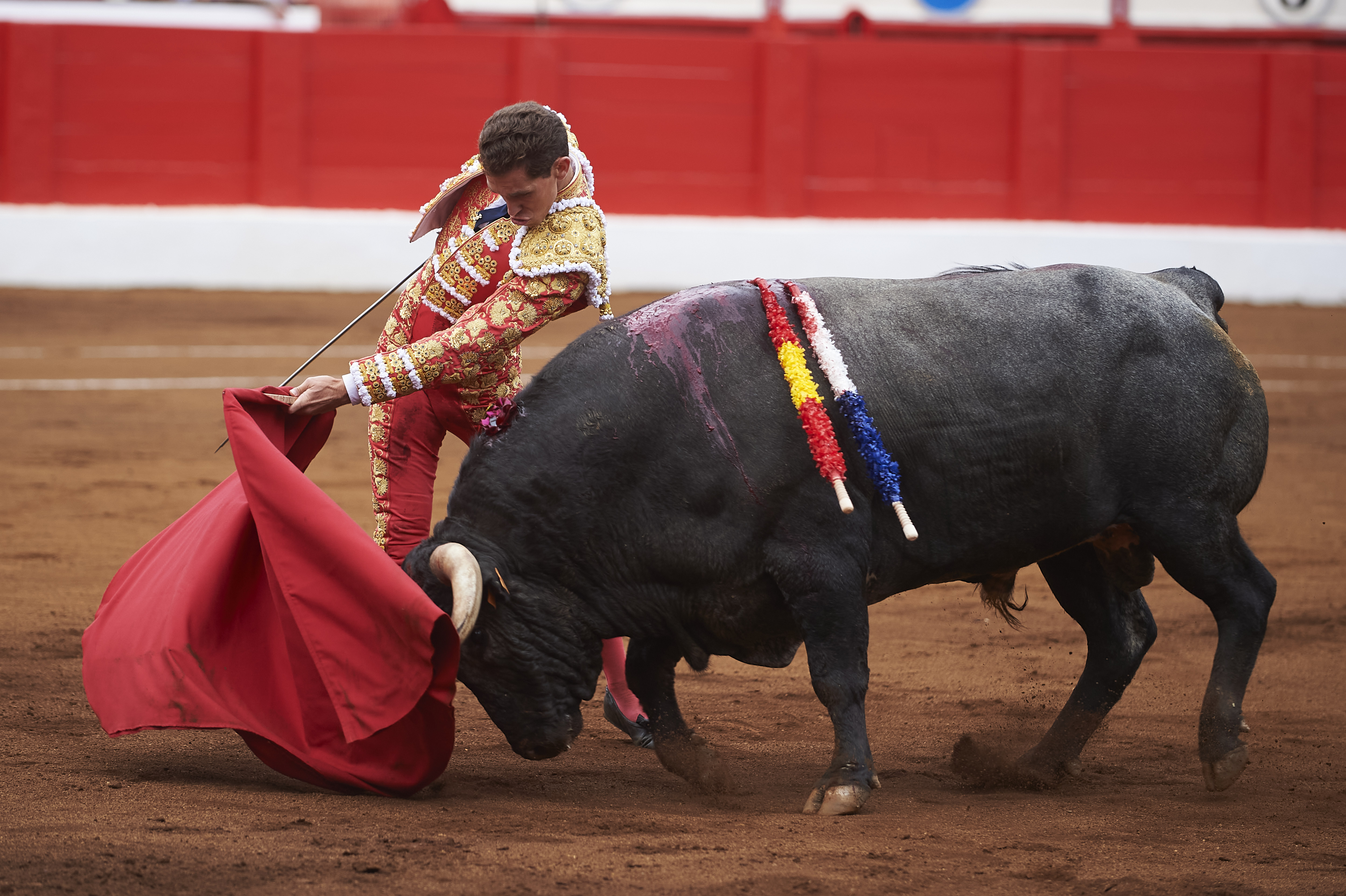 <p>© Foto: César Ortiz</p>