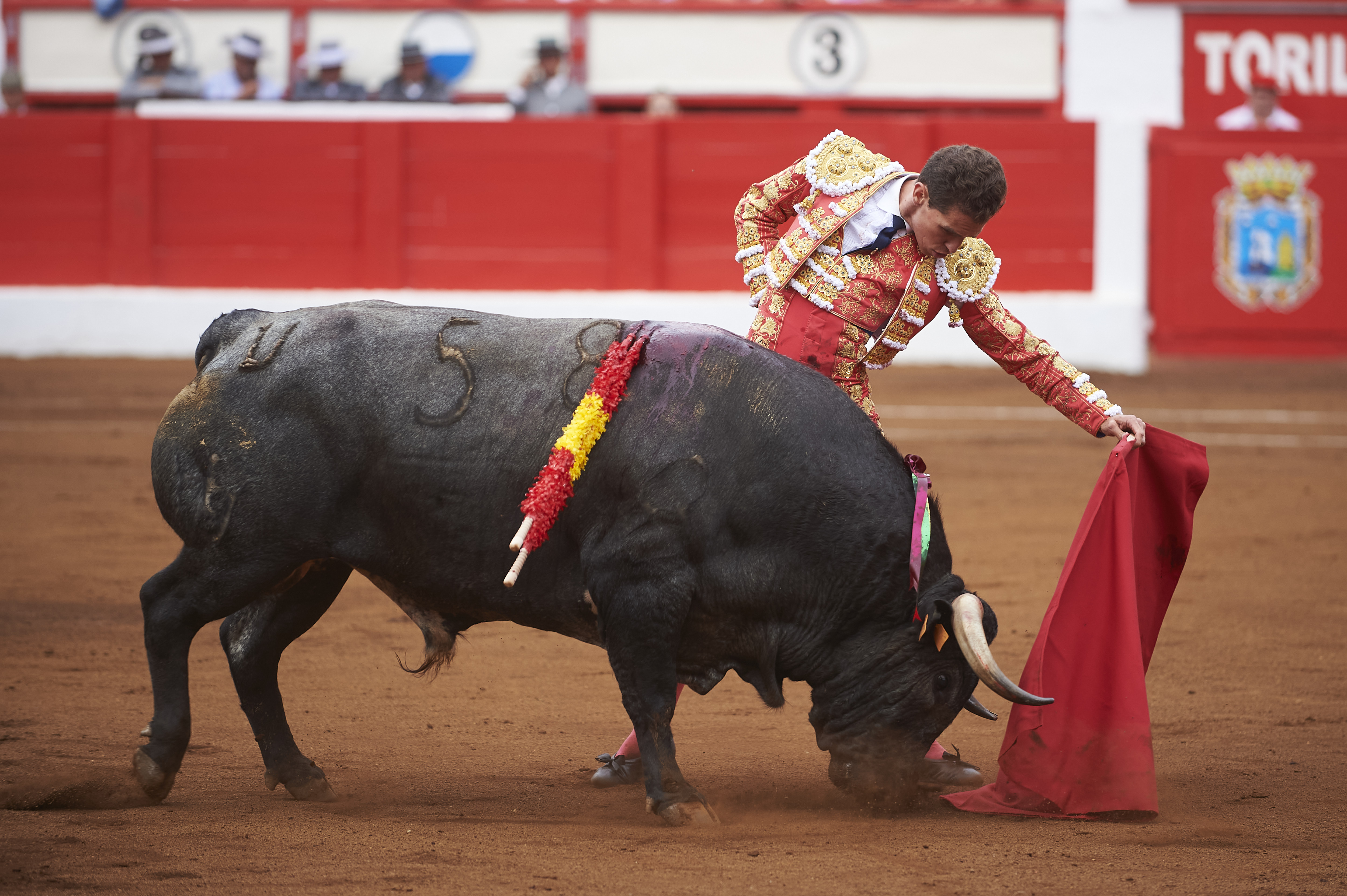 <p>© Foto: César Ortiz</p>