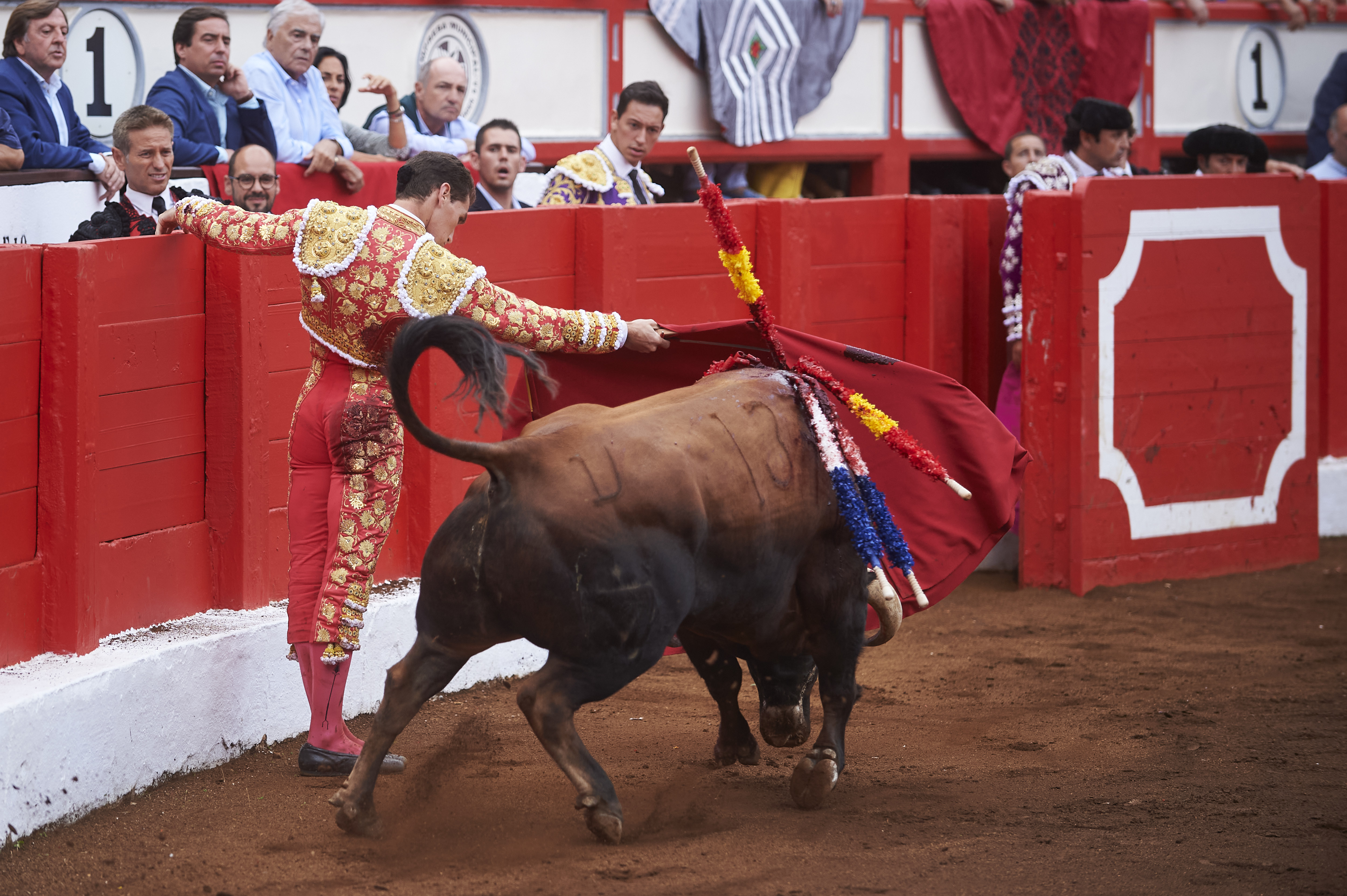 <p>© Foto: César Ortiz</p>