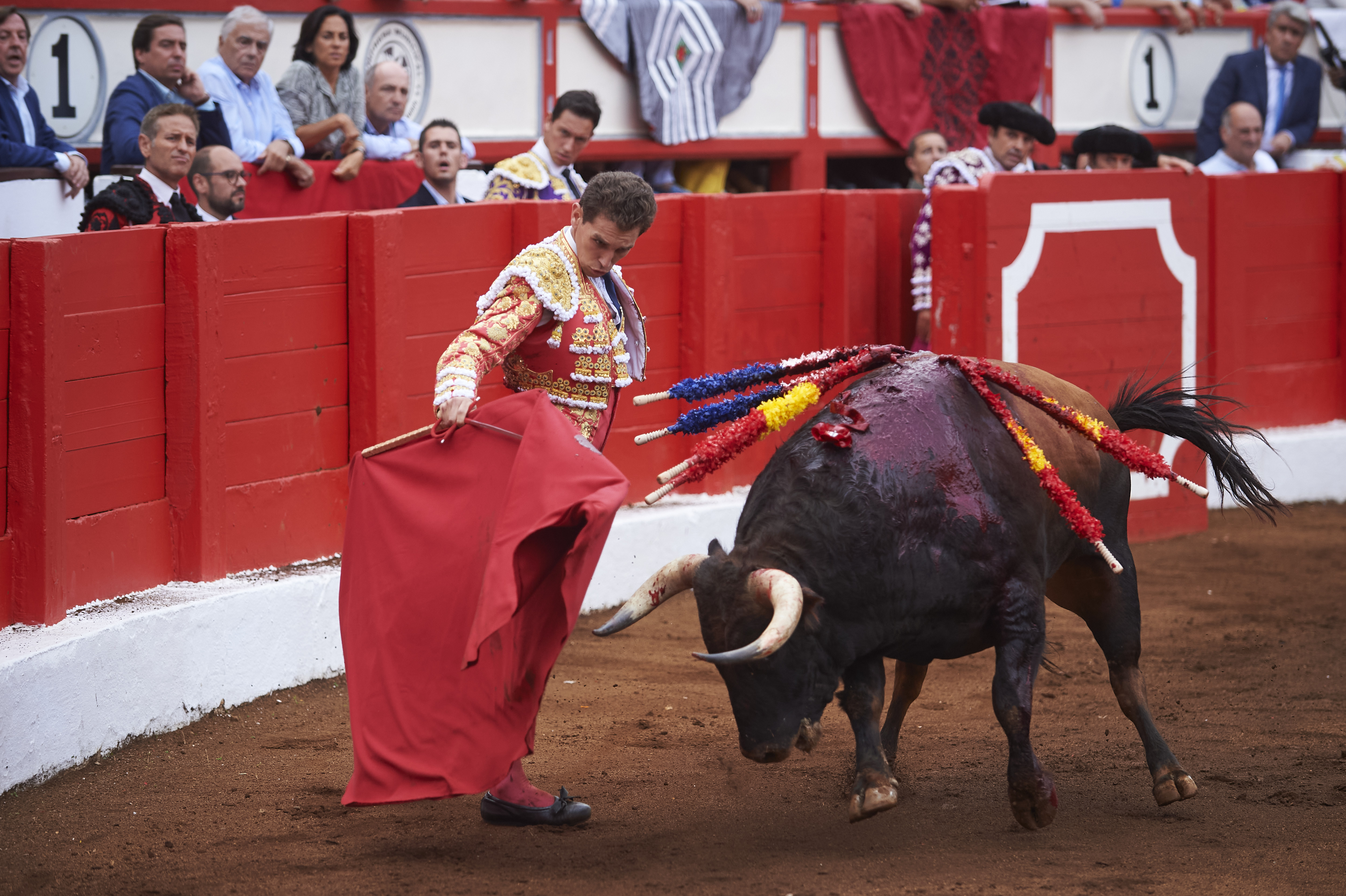 <p>© Foto: César Ortiz</p>