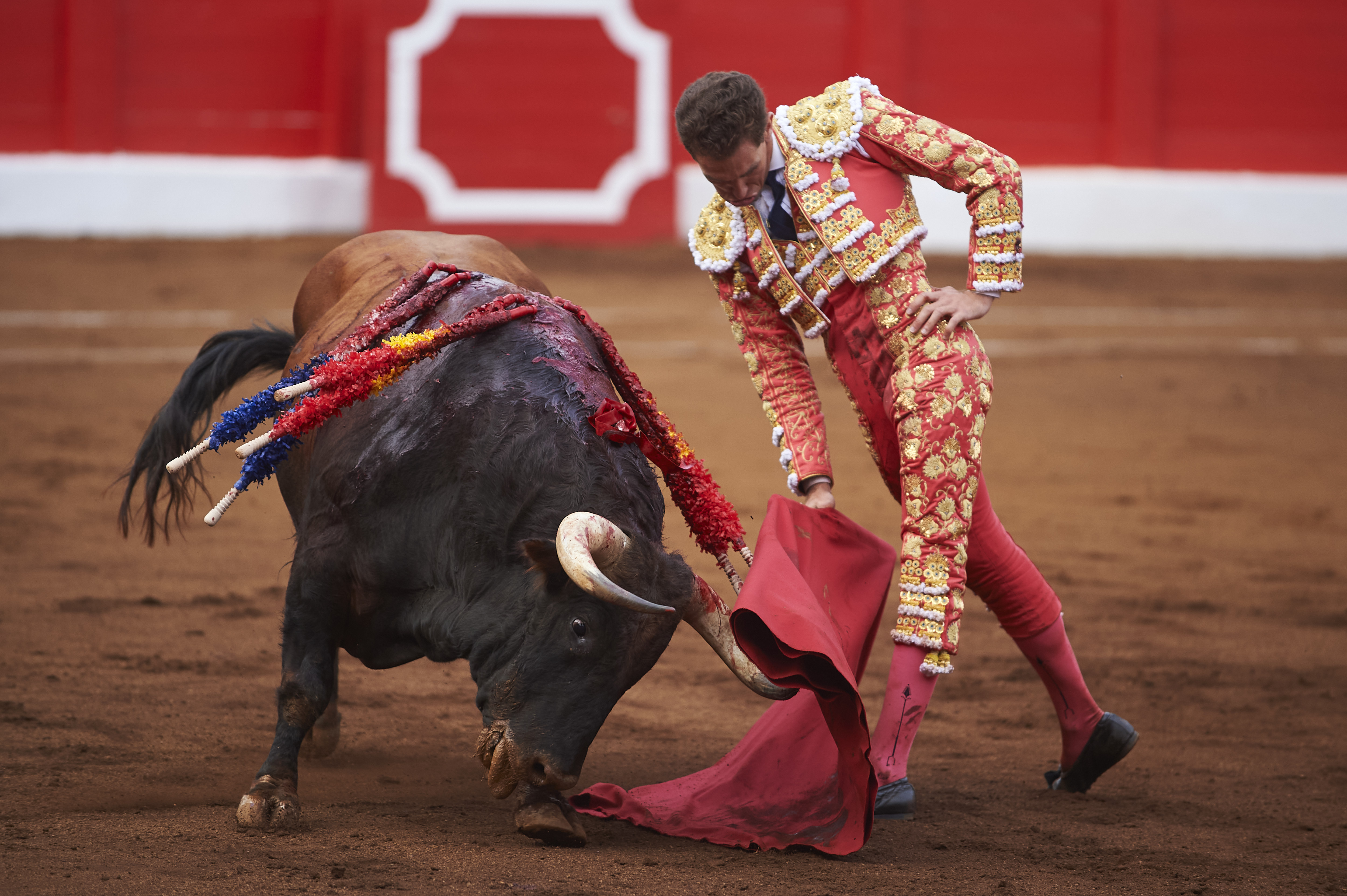 <p>© Foto: César Ortiz</p>