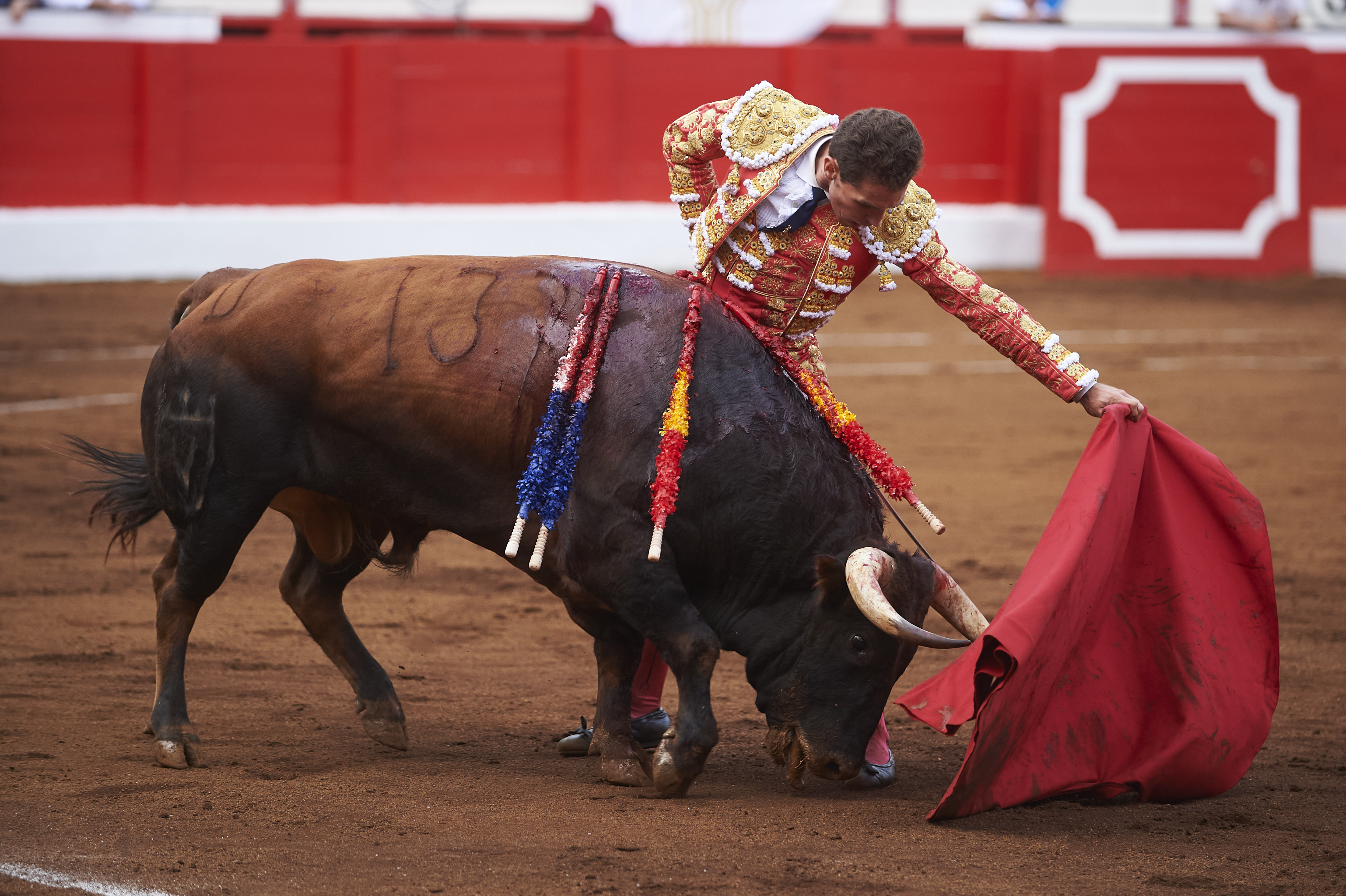 <p>© Foto: César Ortiz</p>