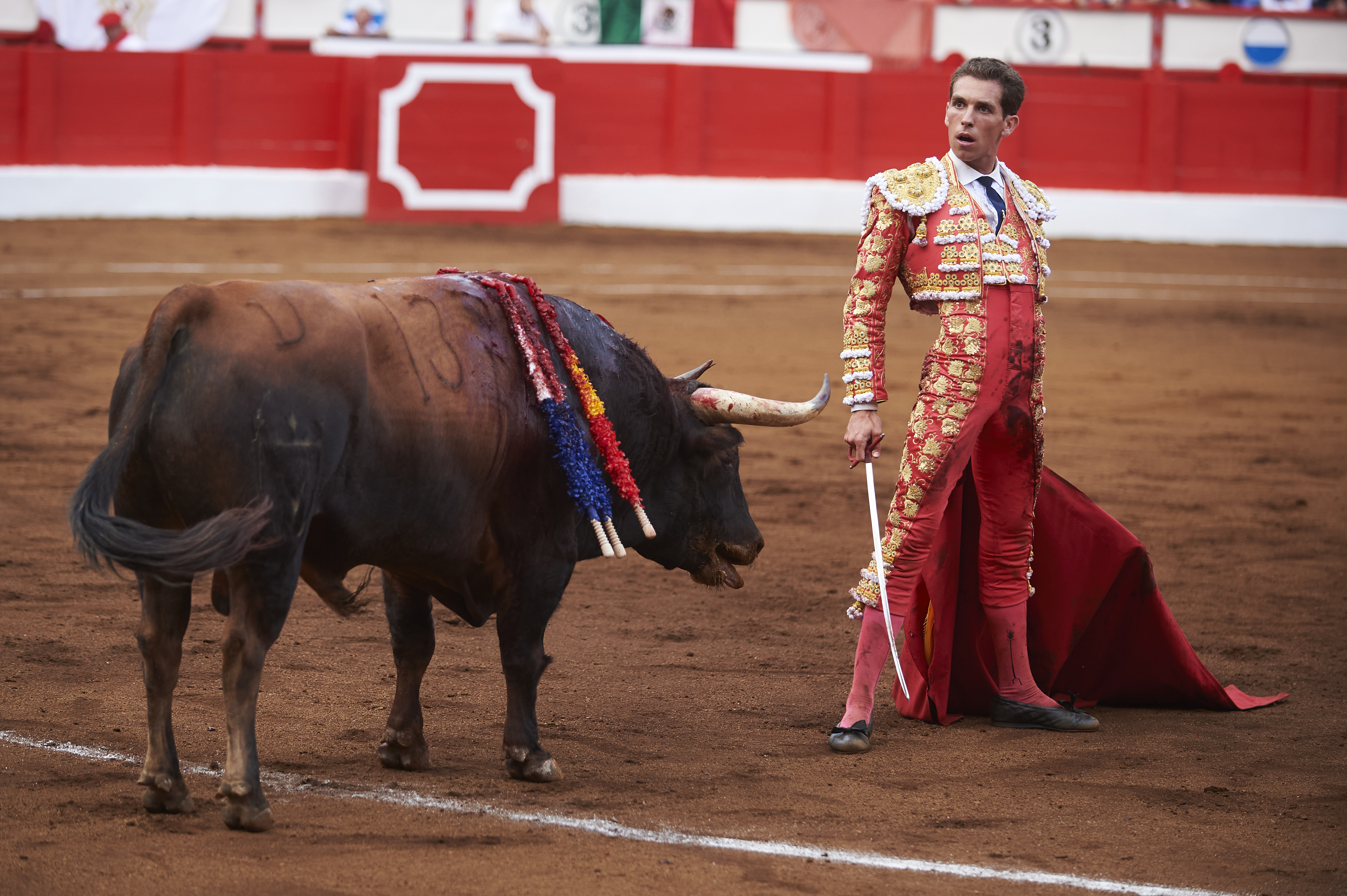<p>© Foto: César Ortiz</p>