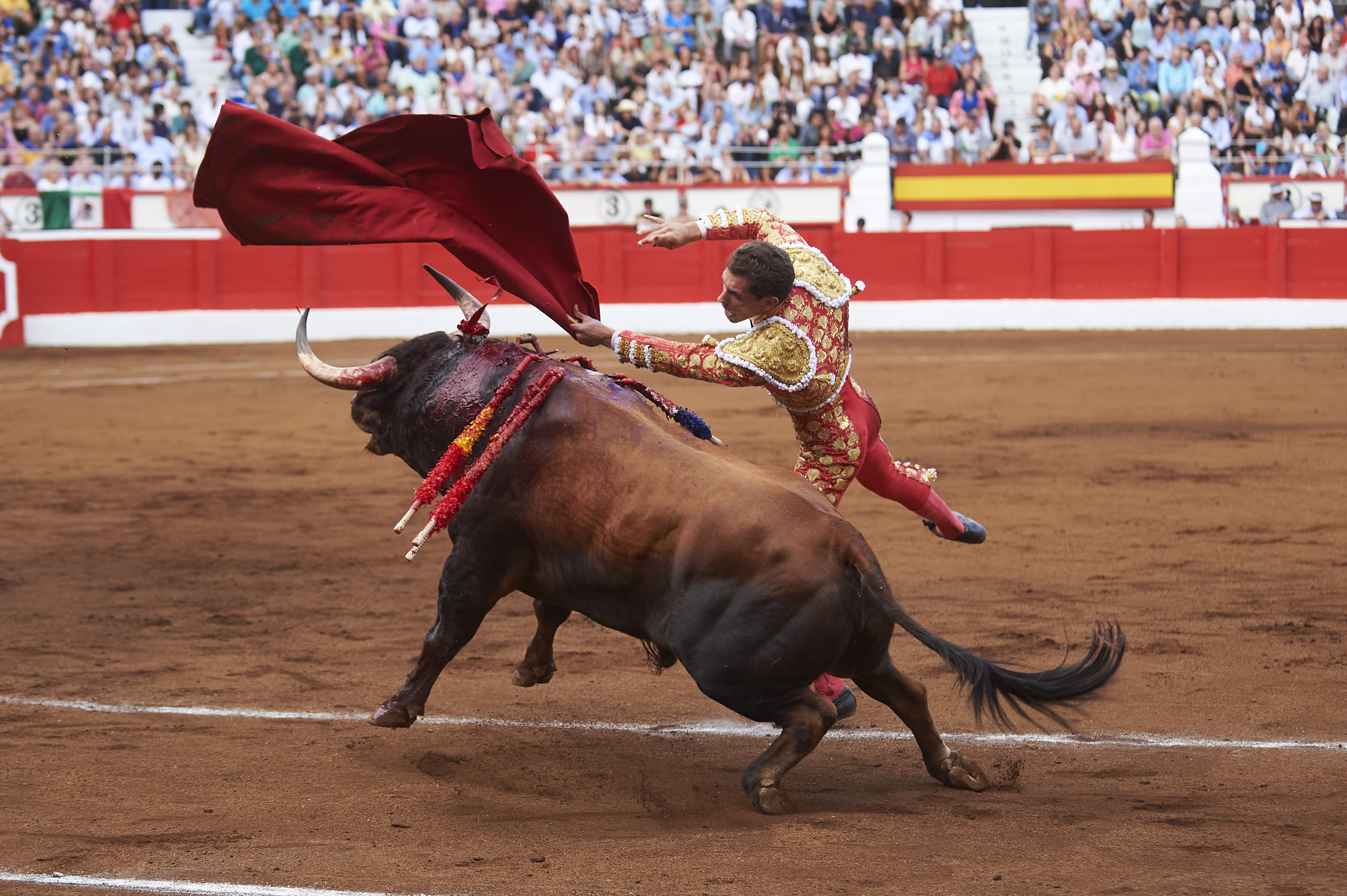 <p>© Foto: César Ortiz</p>