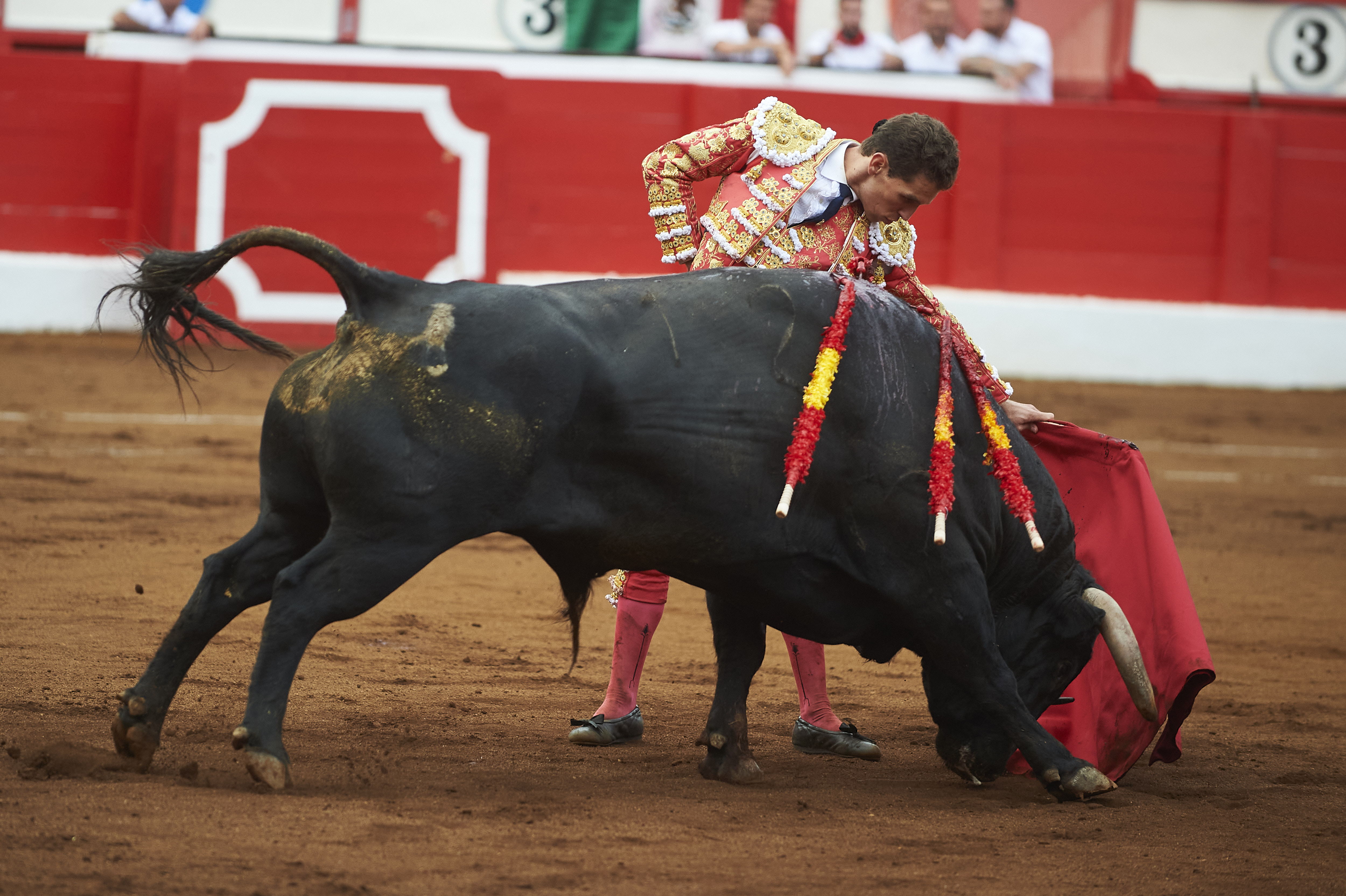 <p>© Foto: César Ortiz</p>