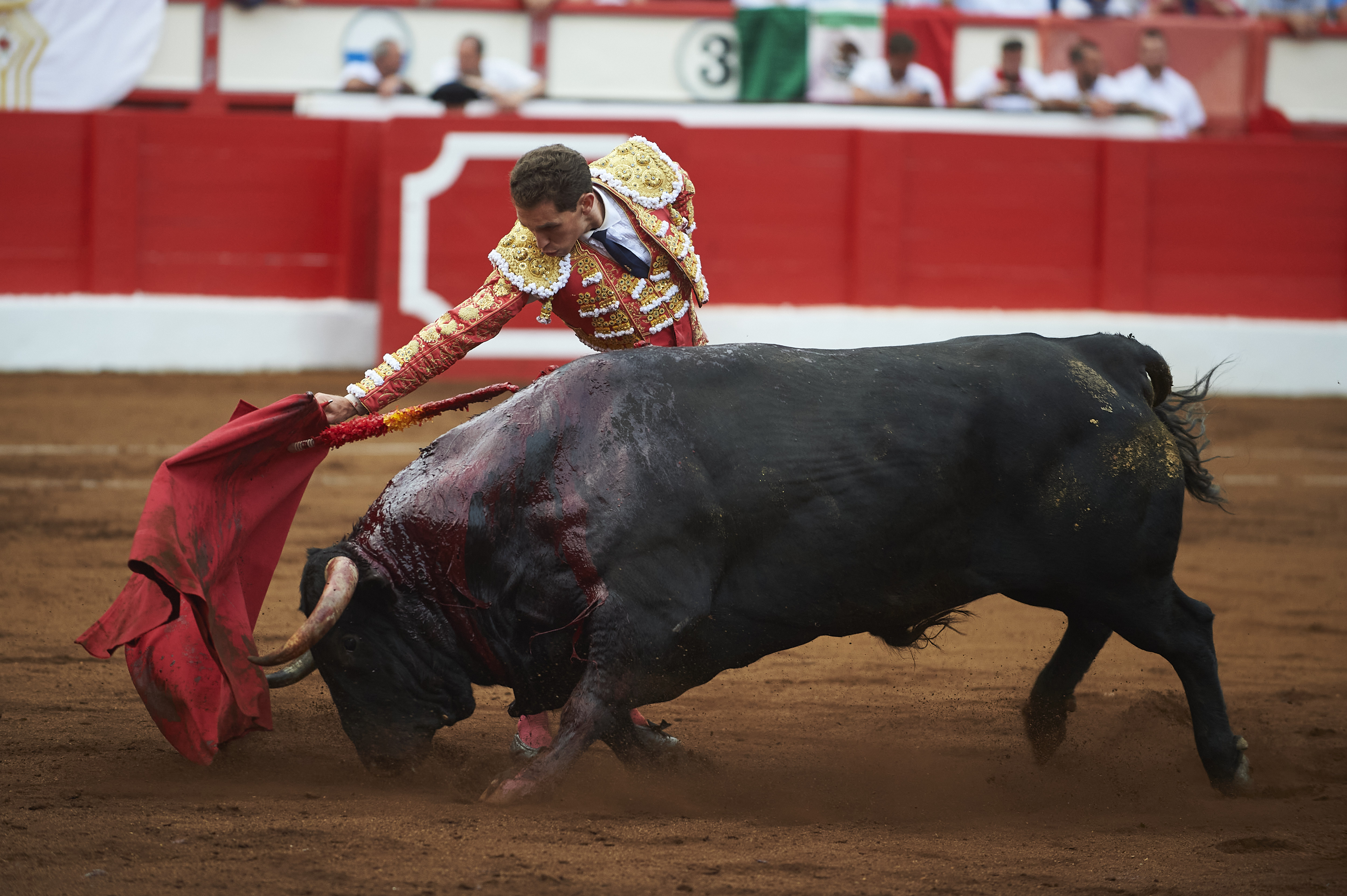 <p>© Foto: César Ortiz</p>