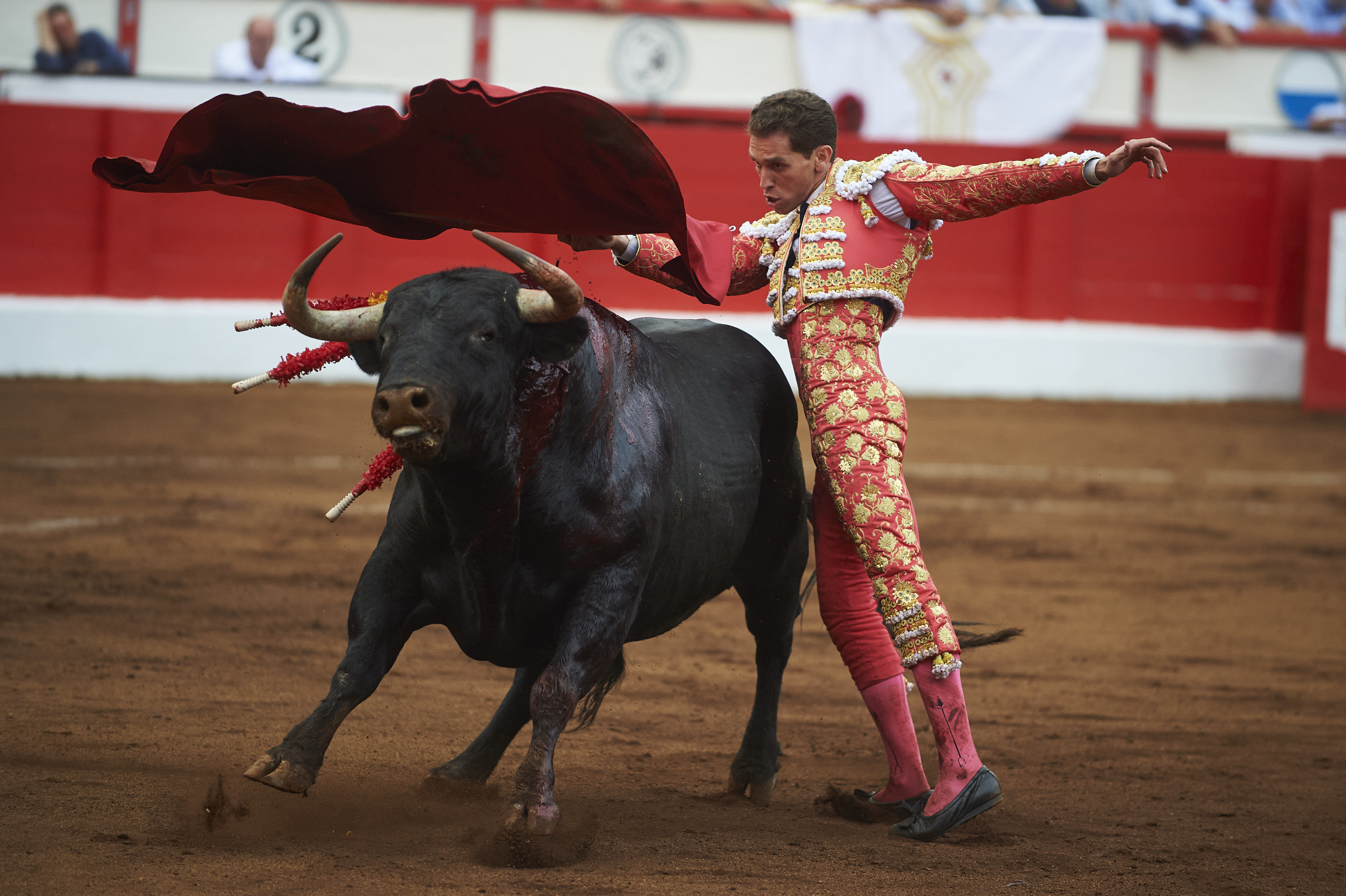 <p>© Foto: César Ortiz</p>