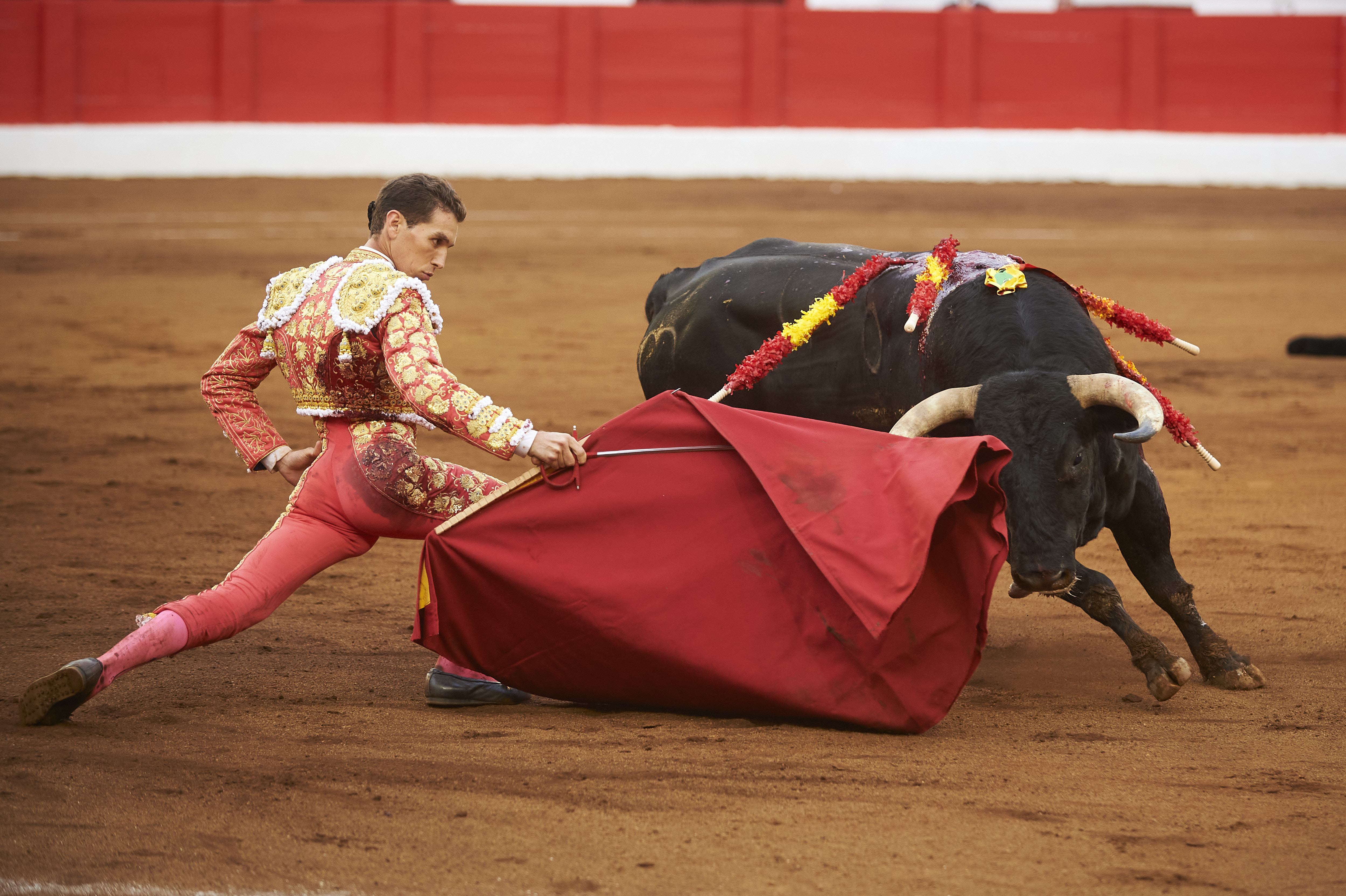 <p>© Foto: César Ortiz</p>