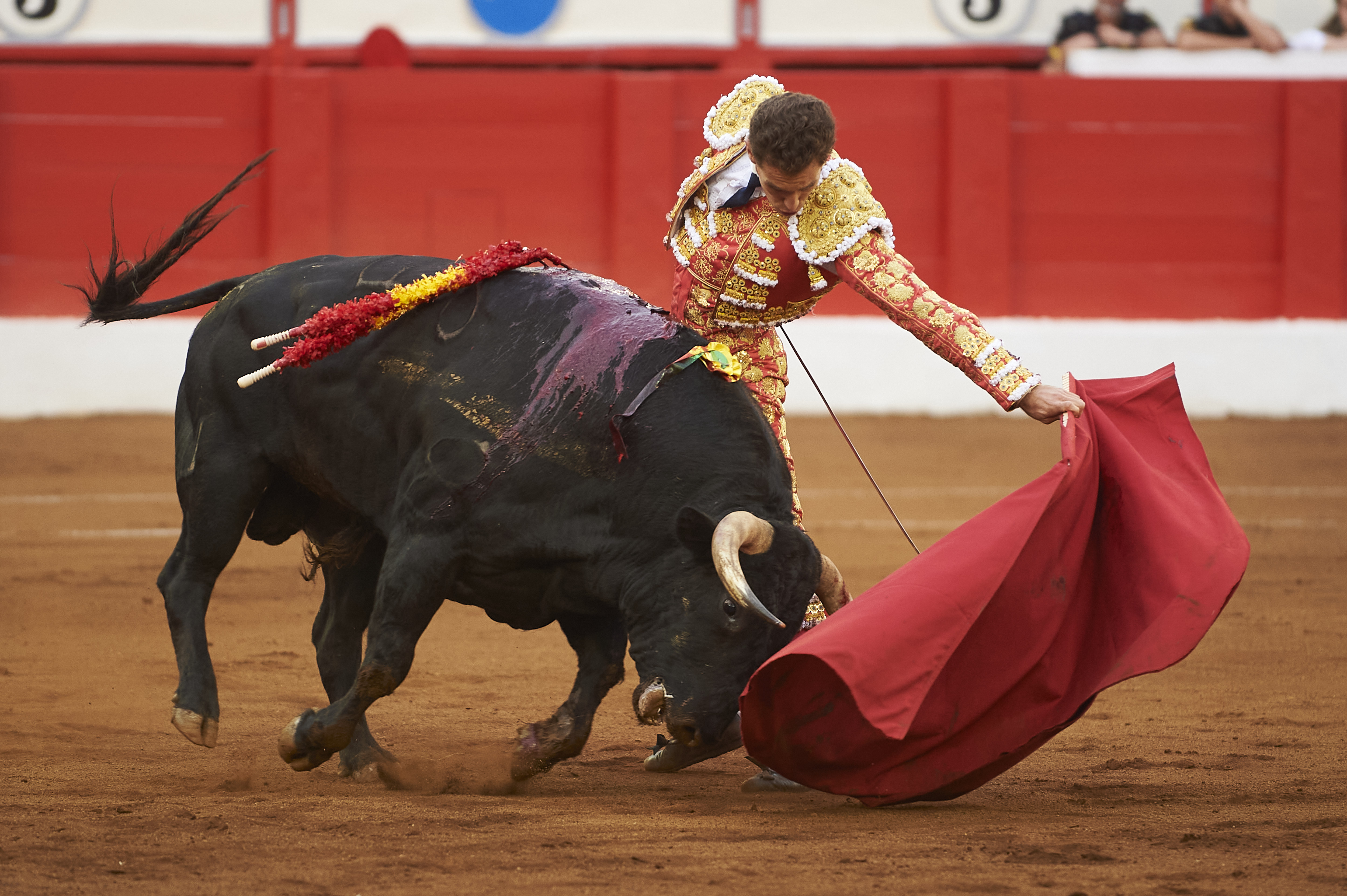 <p>© Foto: César Ortiz</p>