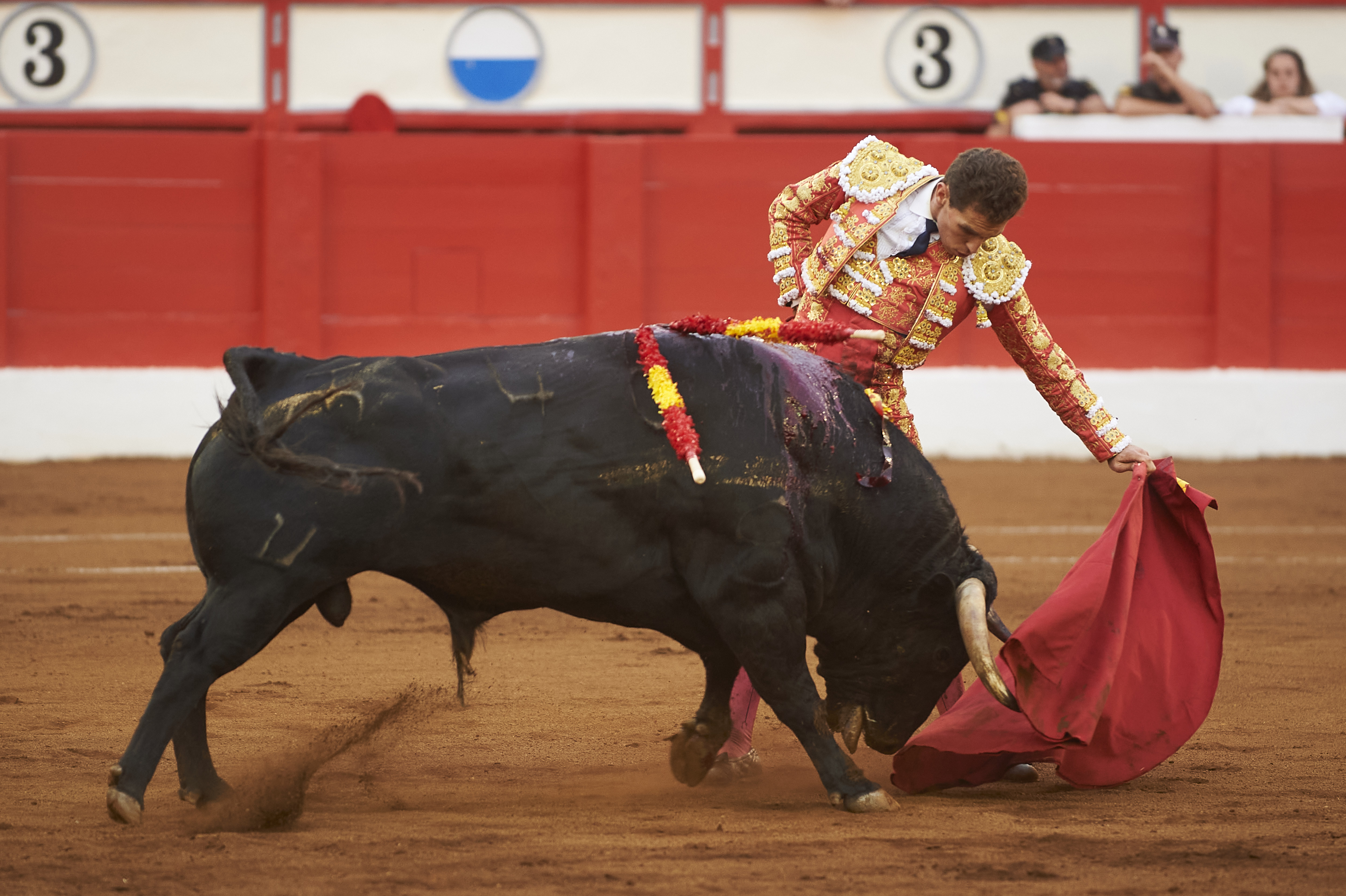 <p>© Foto: César Ortiz</p>