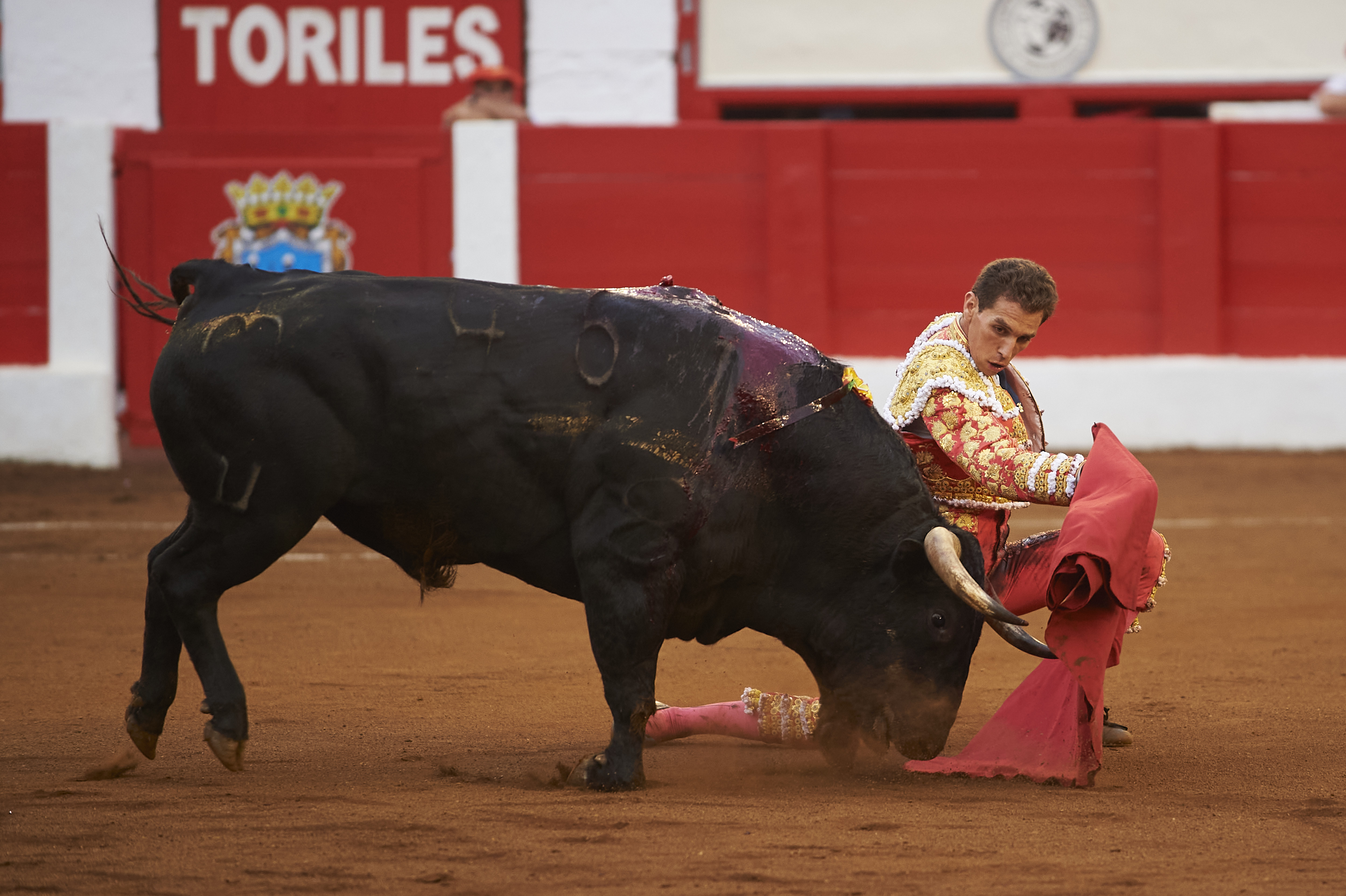 <p>© Foto: César Ortiz</p>