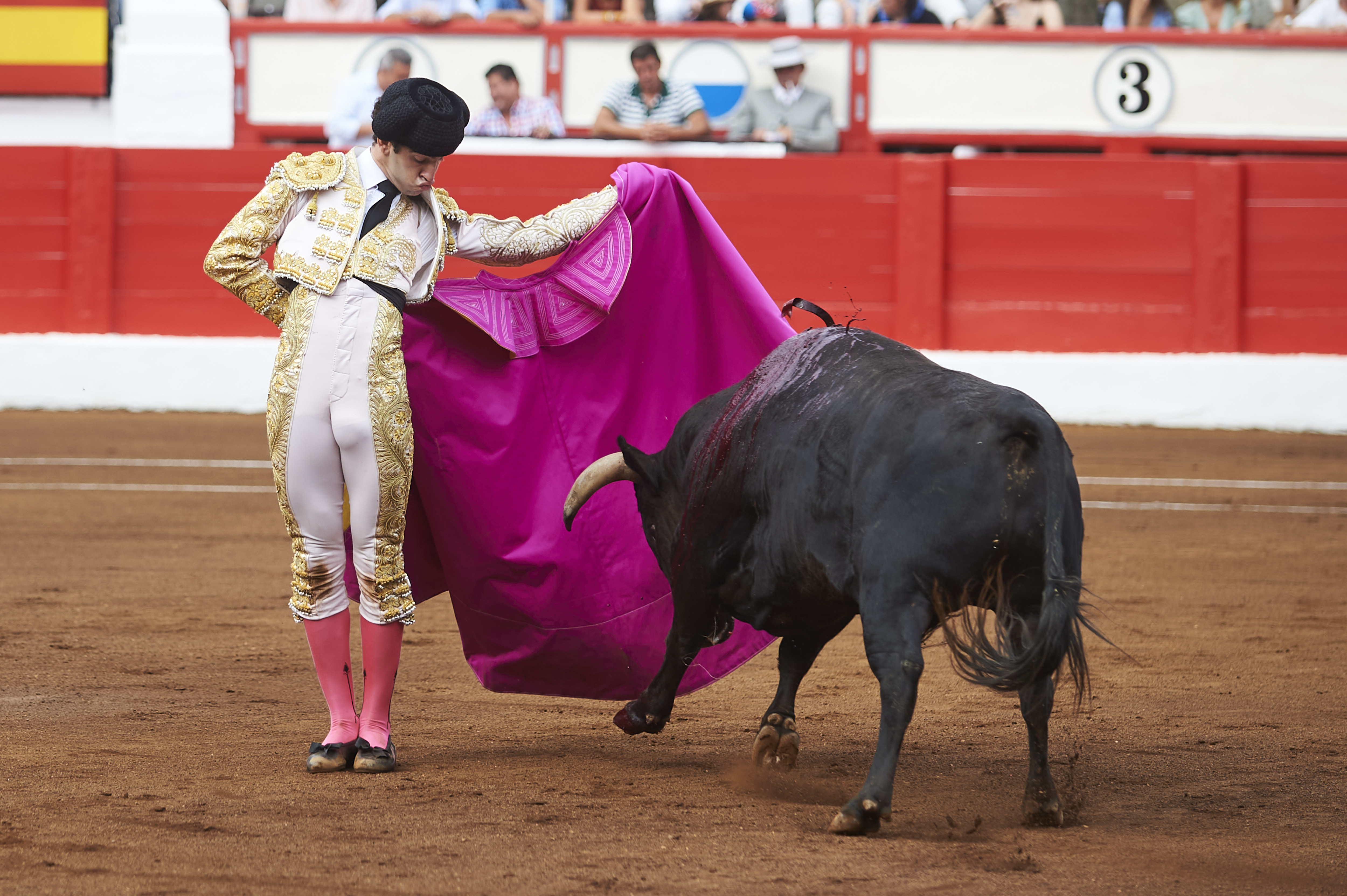 <p>© Foto: César Ortiz</p>