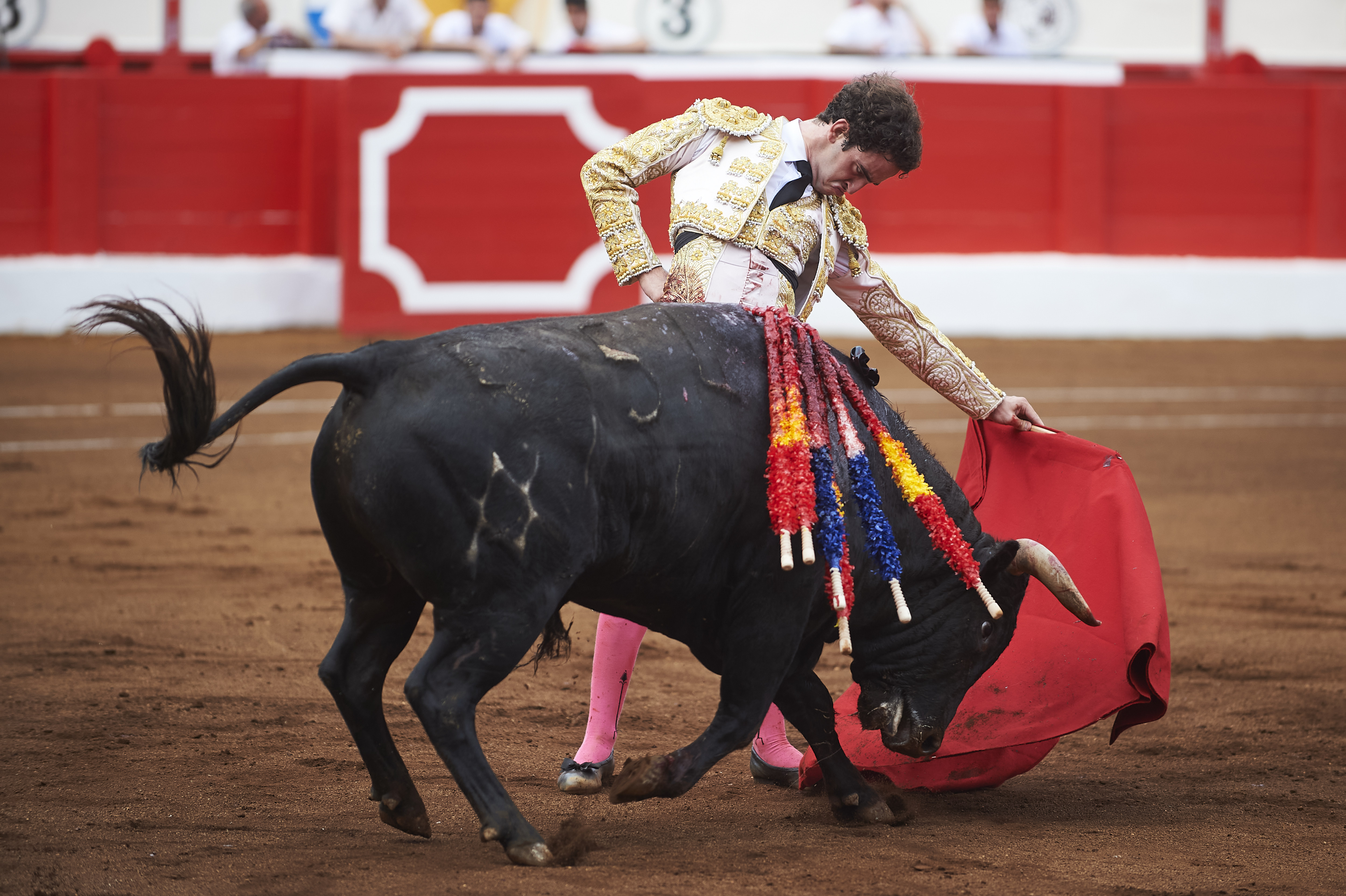 <p>© Foto: César Ortiz</p>