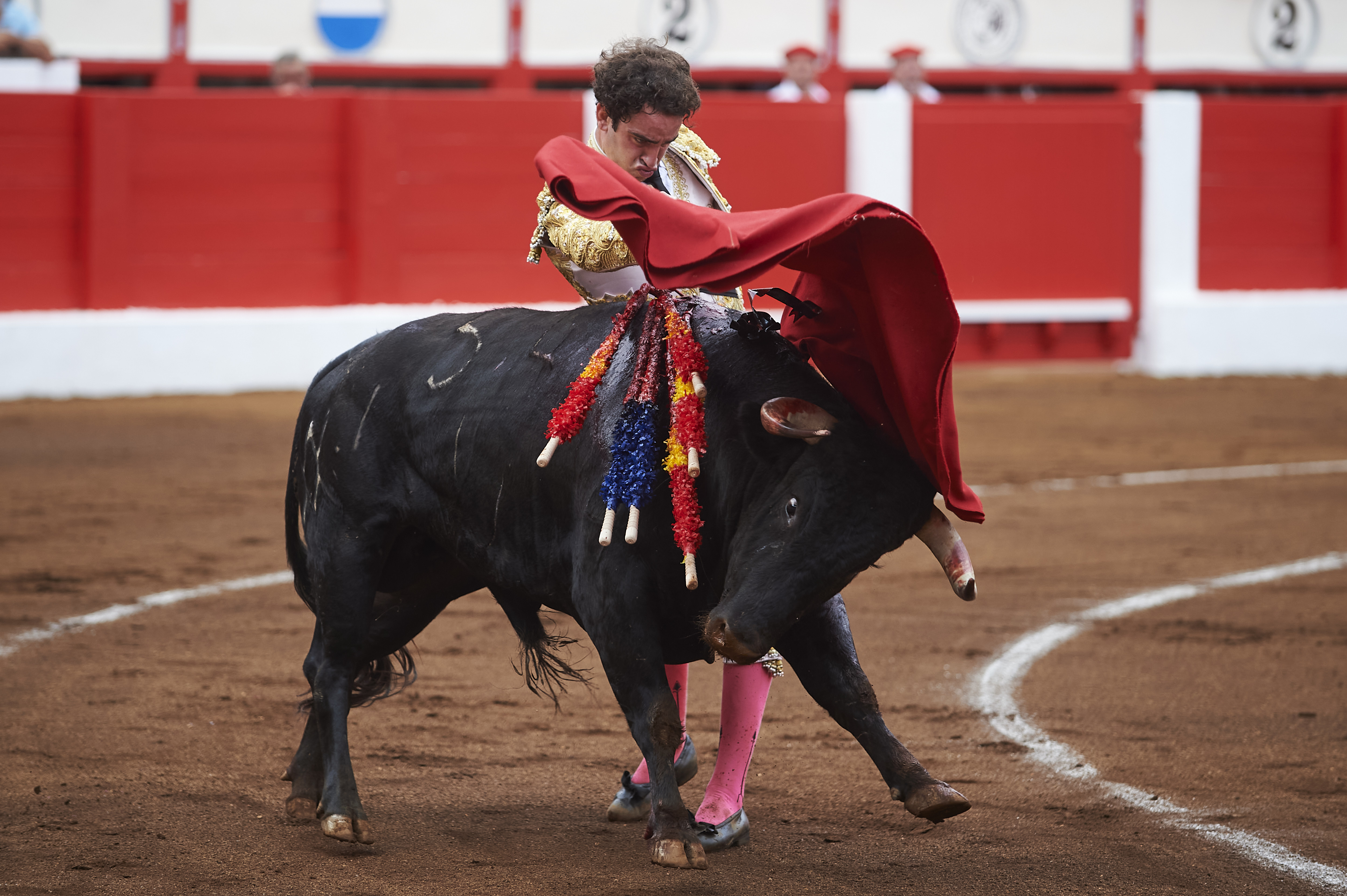 <p>© Foto: César Ortiz</p>