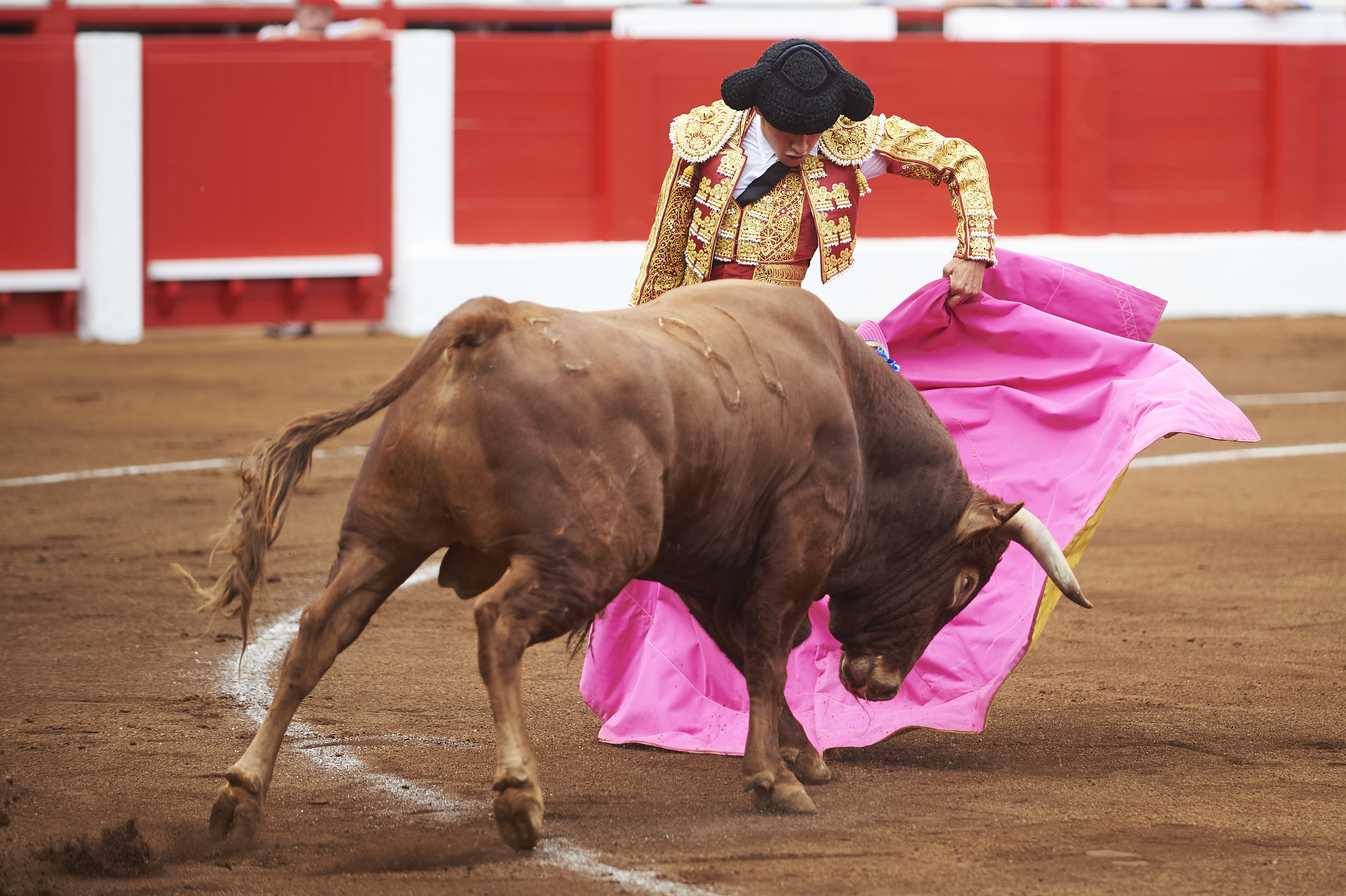 <p>© Foto: César Ortiz</p>