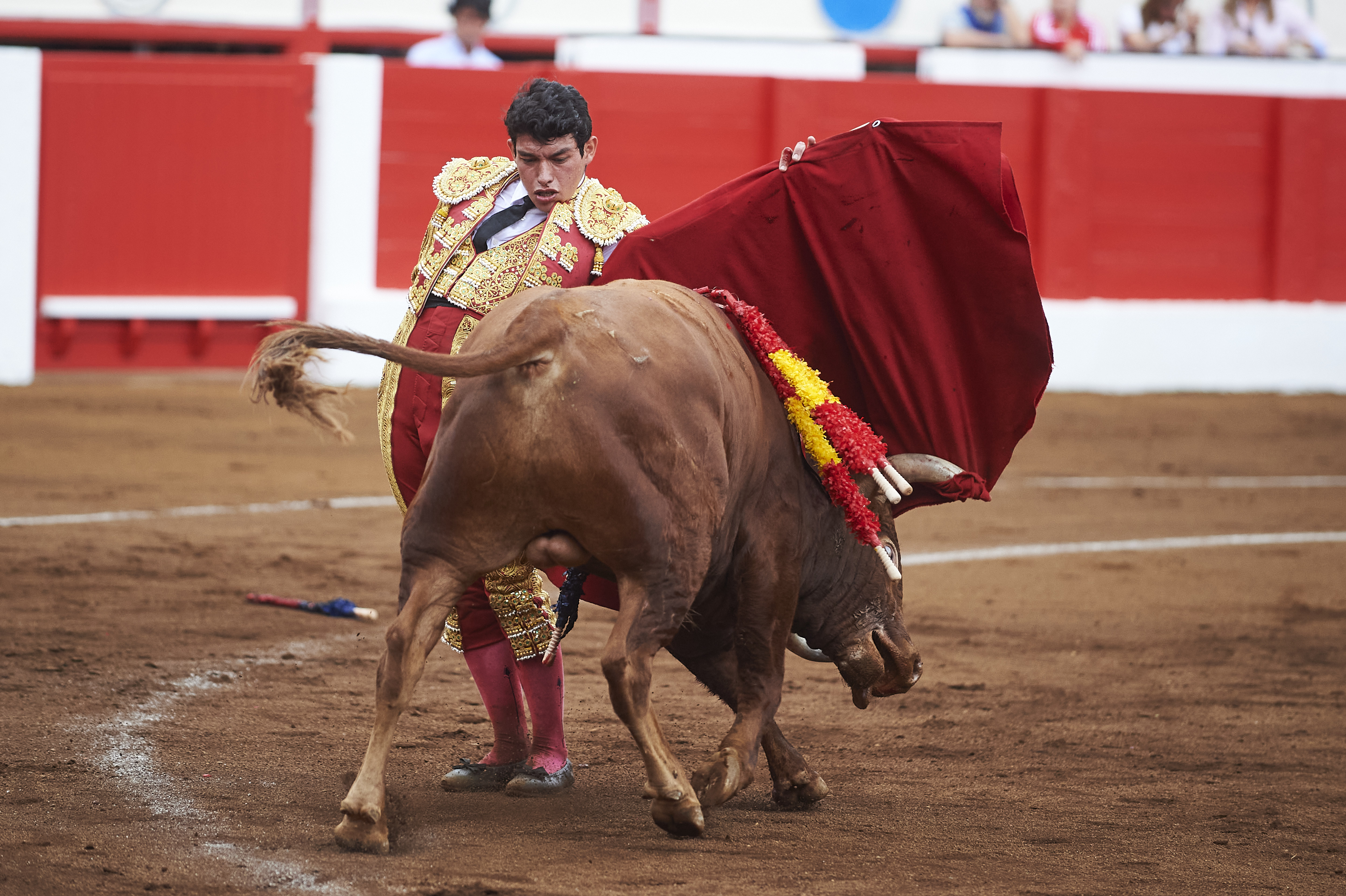<p>© Foto: César Ortiz</p>