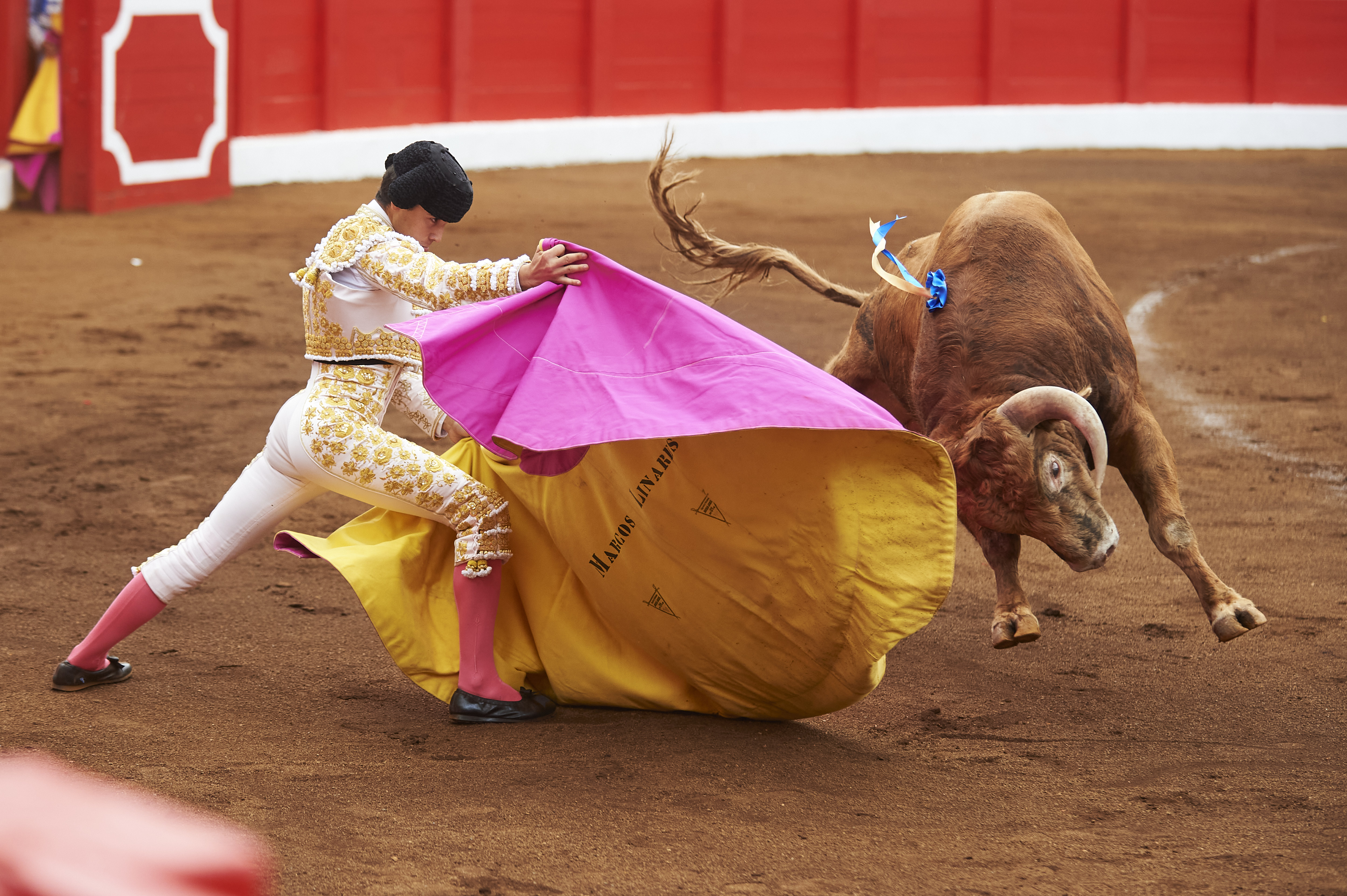<p>© Foto: César Ortiz</p>