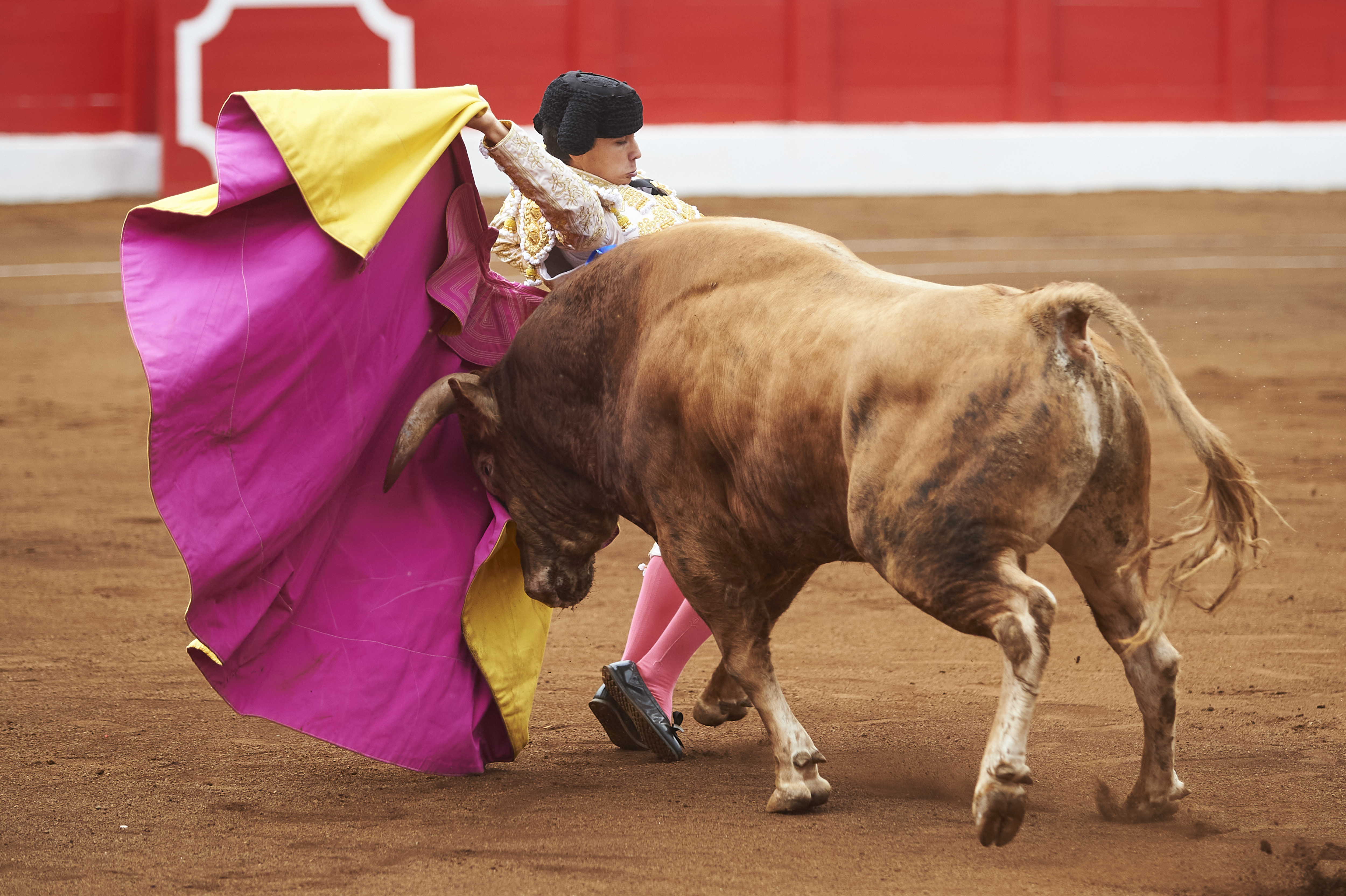 <p>© Foto: César Ortiz</p>