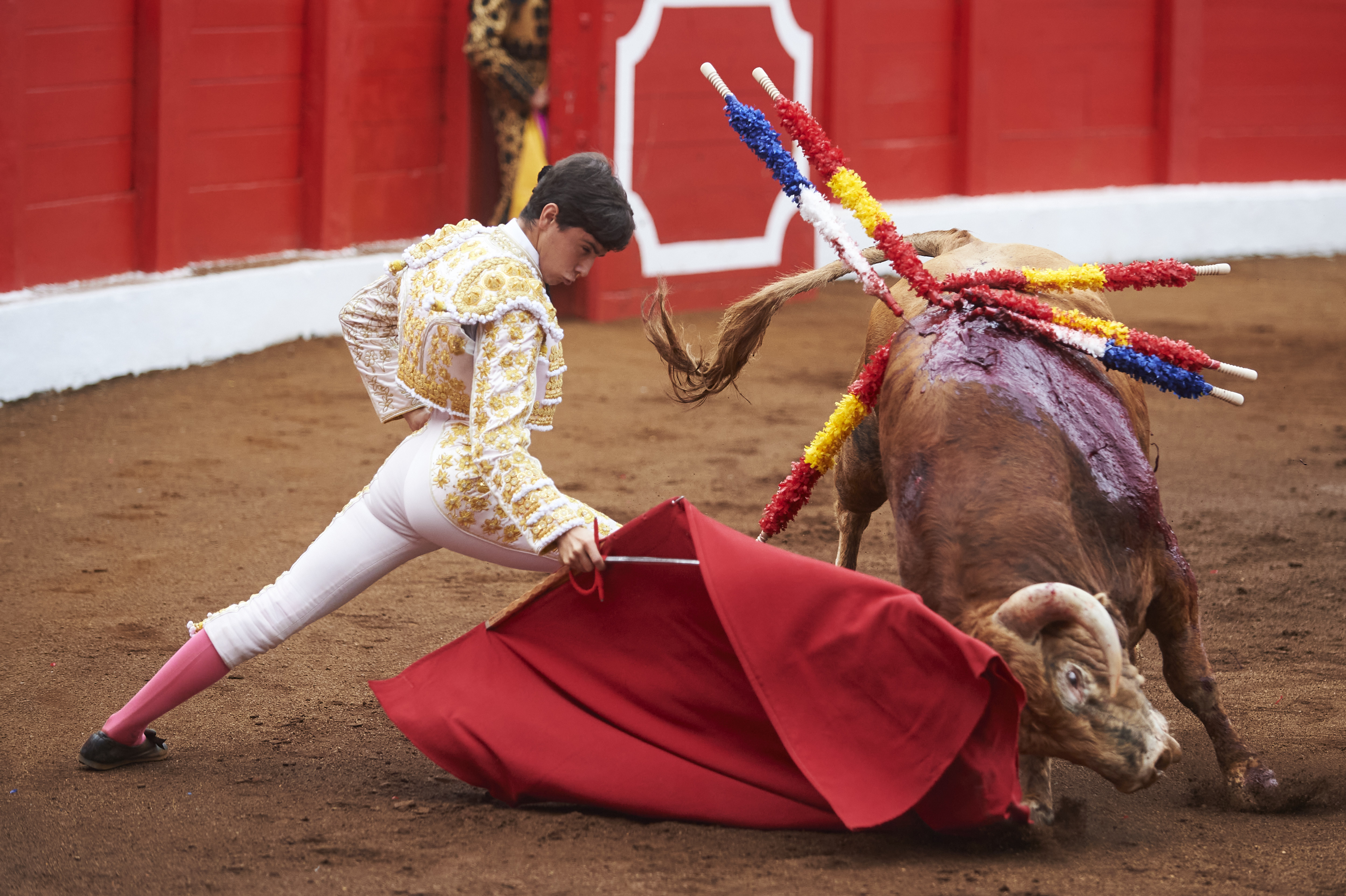 <p>© Foto: César Ortiz</p>