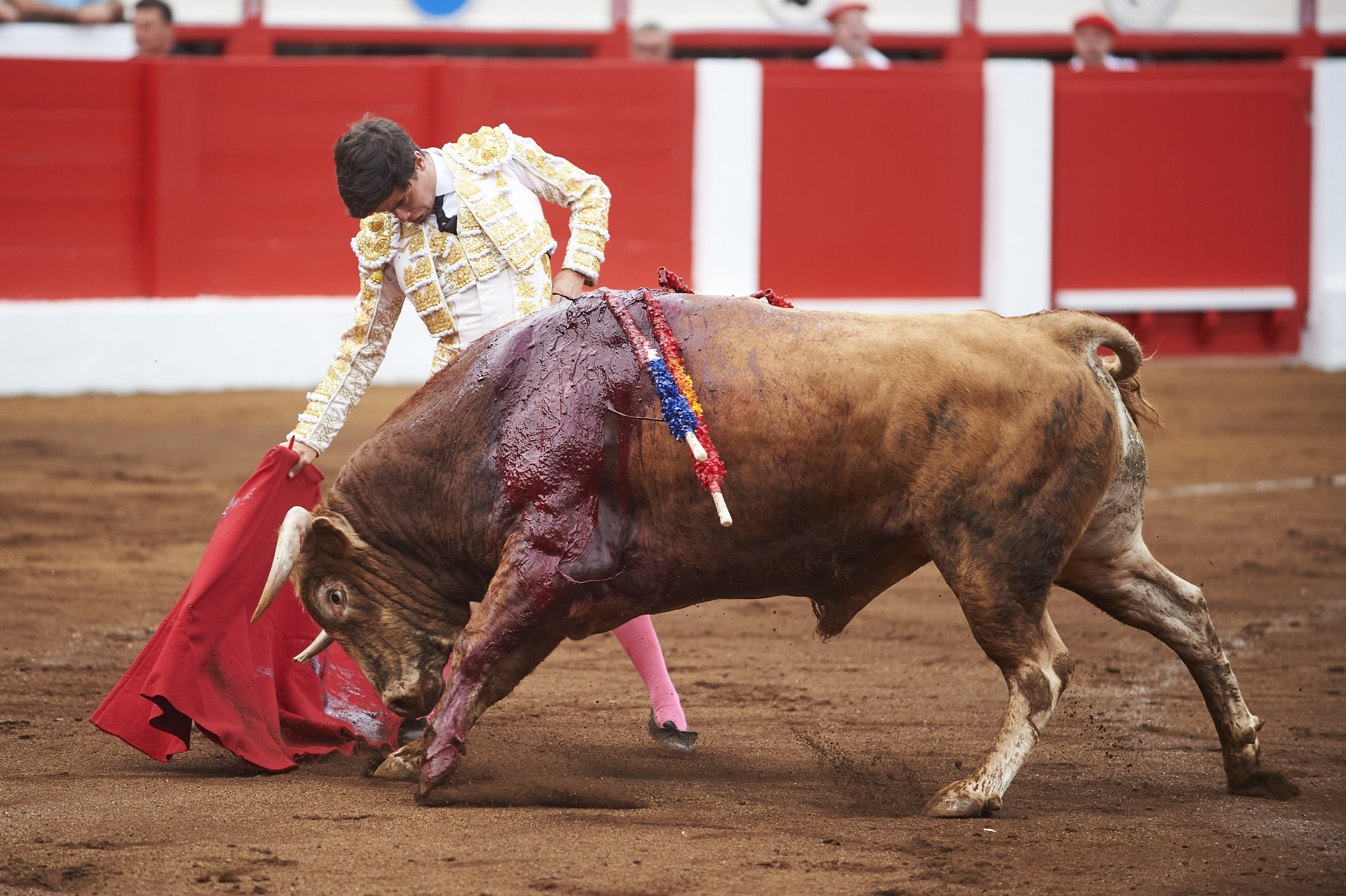 <p>© Foto: César Ortiz</p>