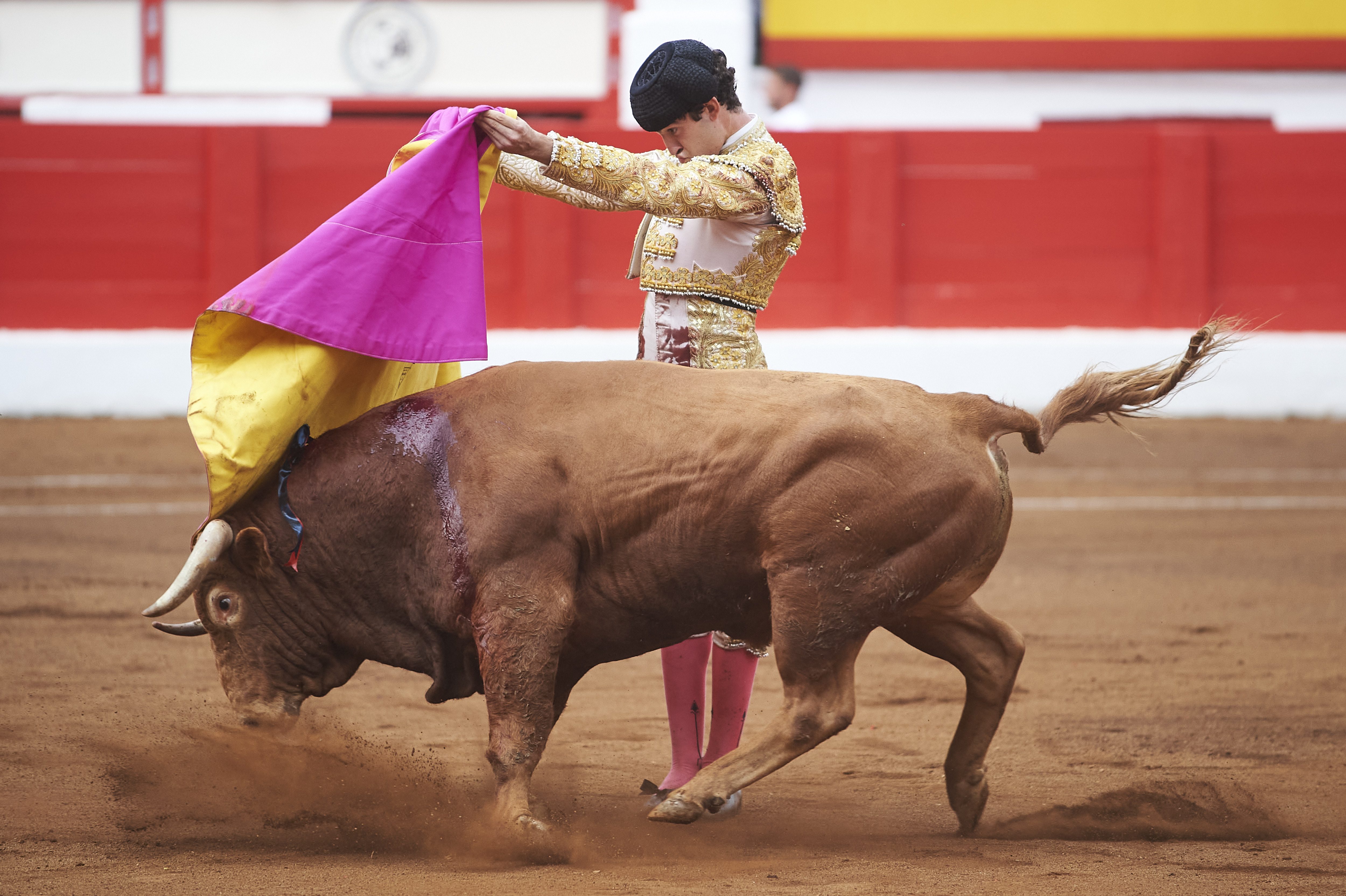 <p>© Foto: César Ortiz</p>