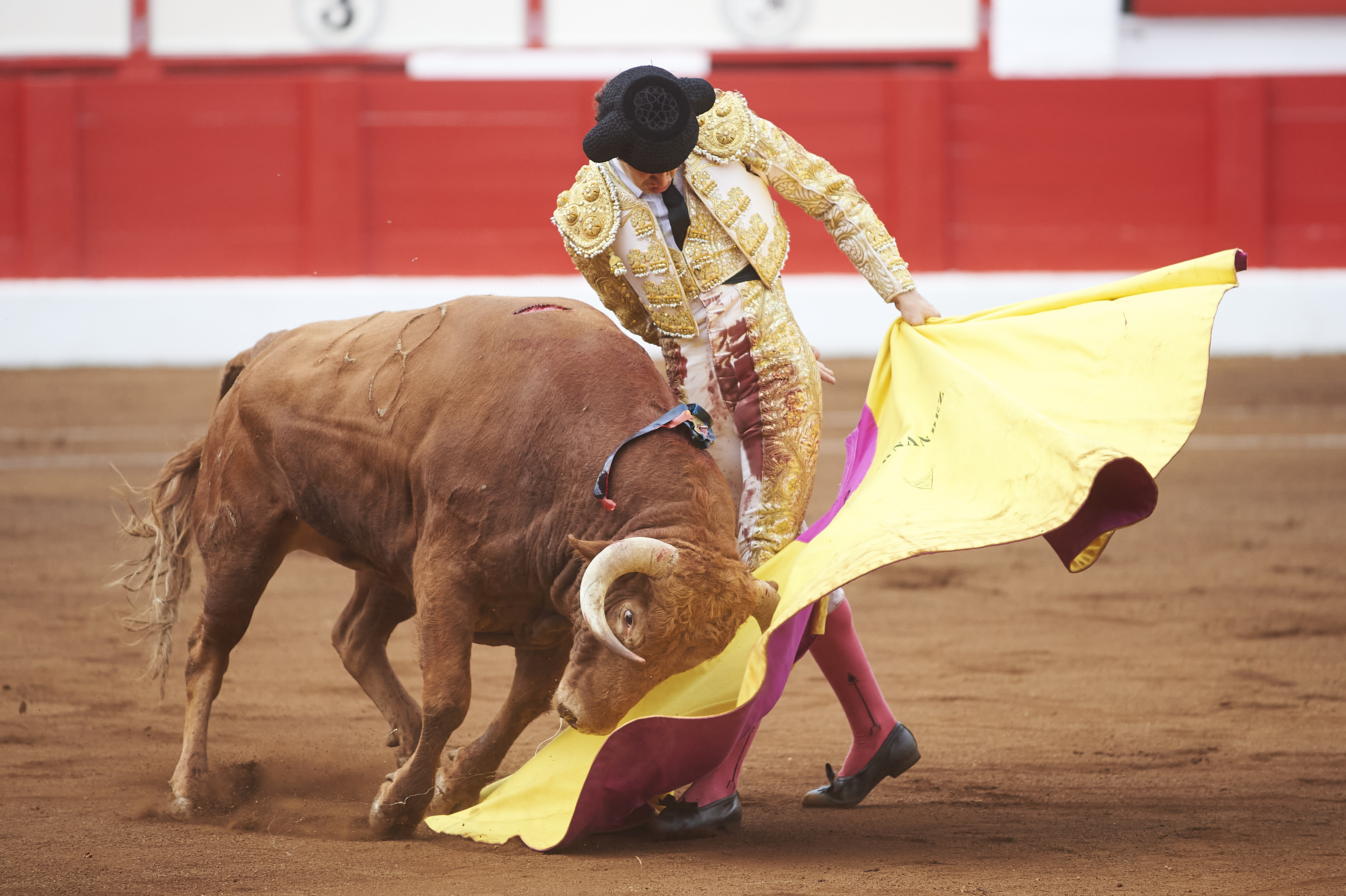 <p>© Foto: César Ortiz</p>