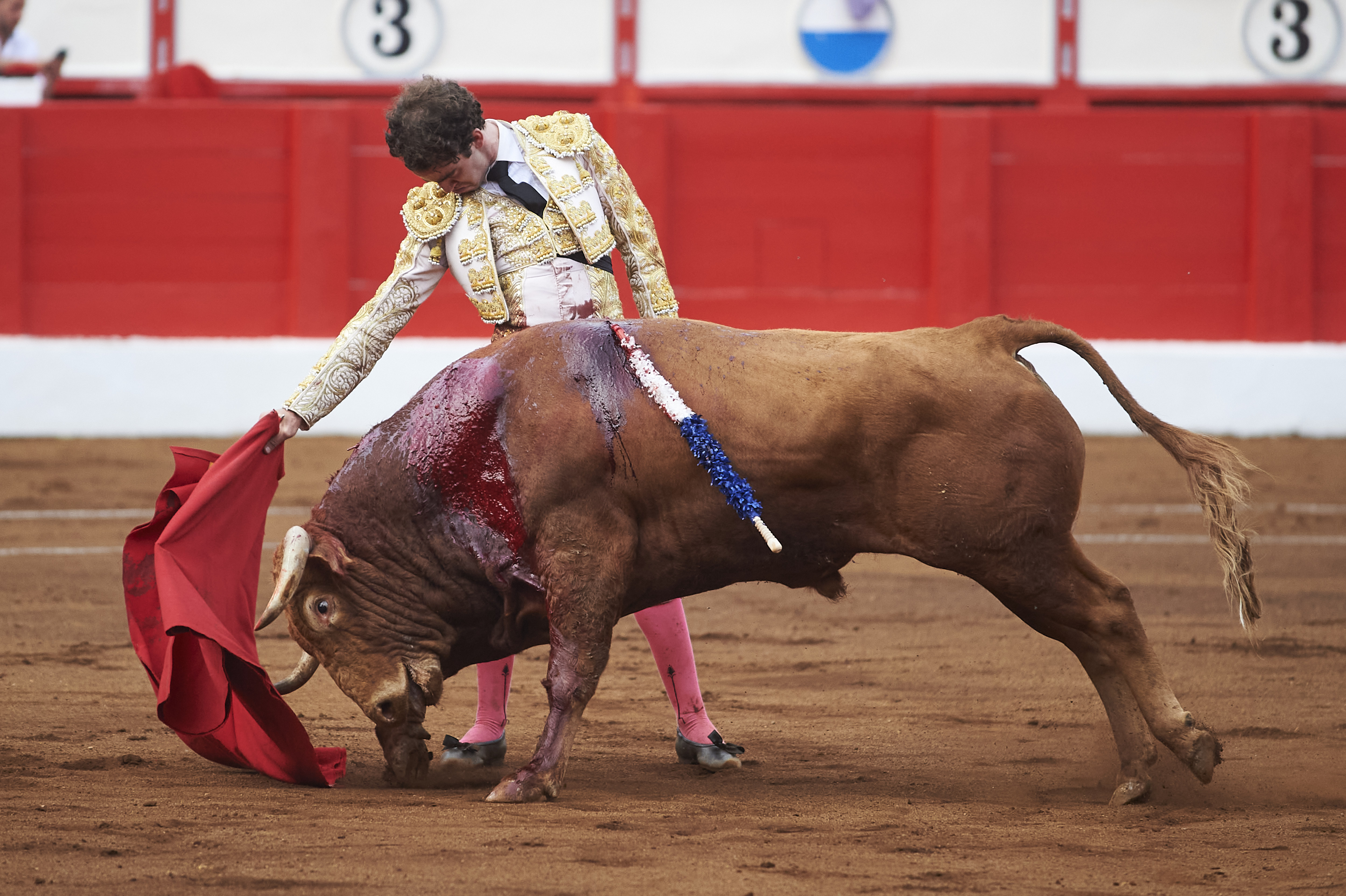 <p>© Foto: César Ortiz</p>