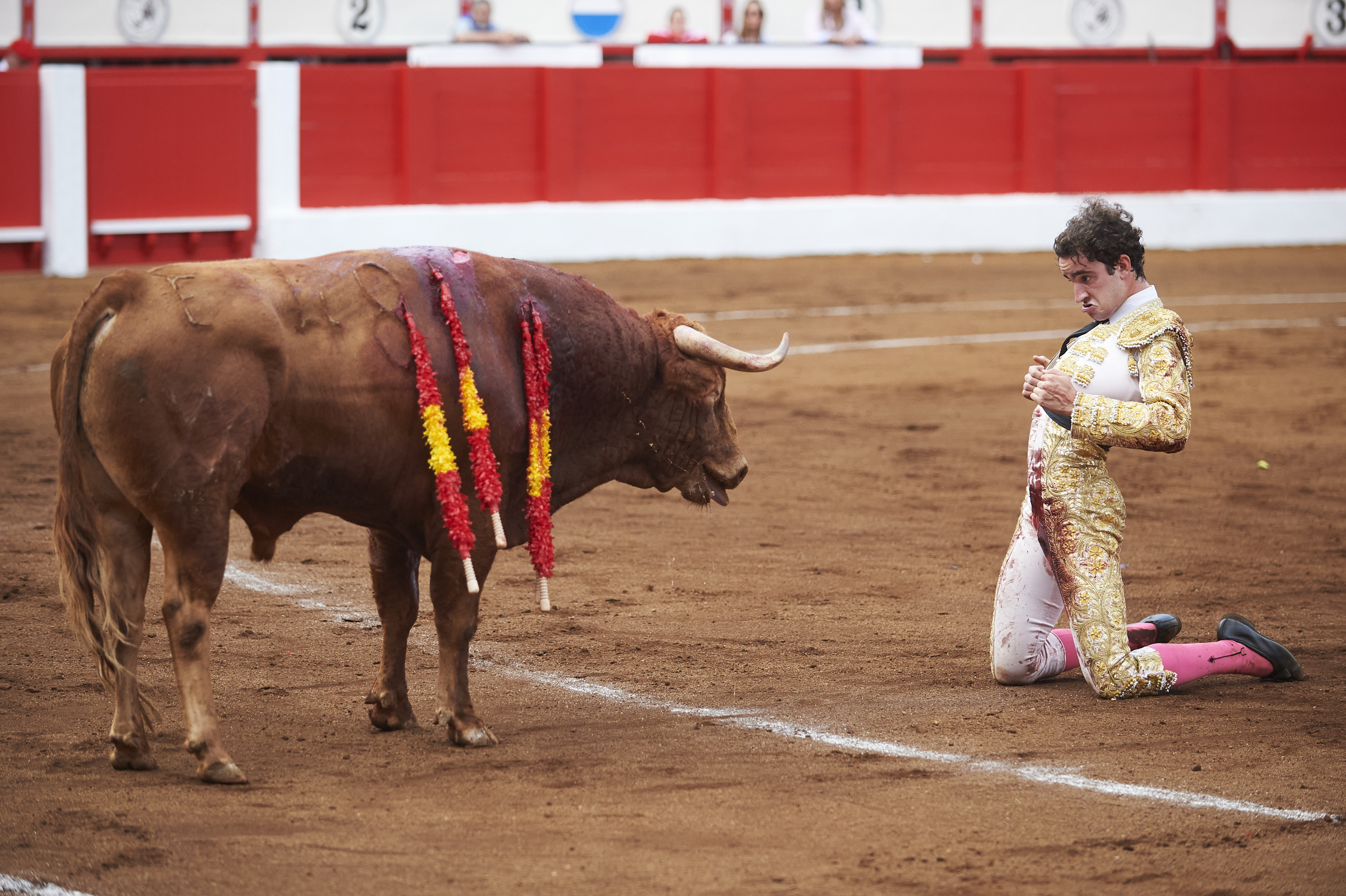 <p>© Foto: César Ortiz</p>