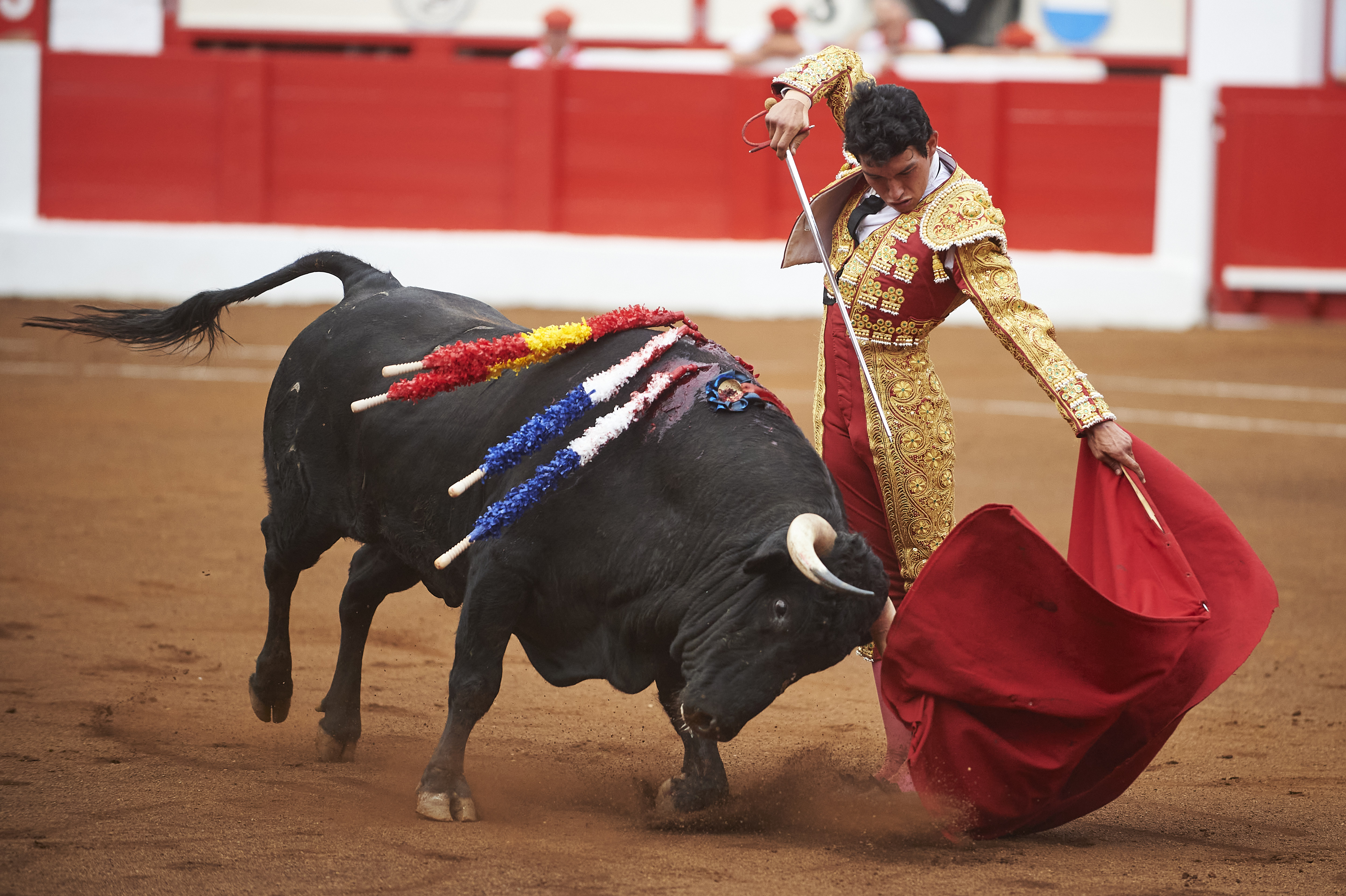 <p>© Foto: César Ortiz</p>
