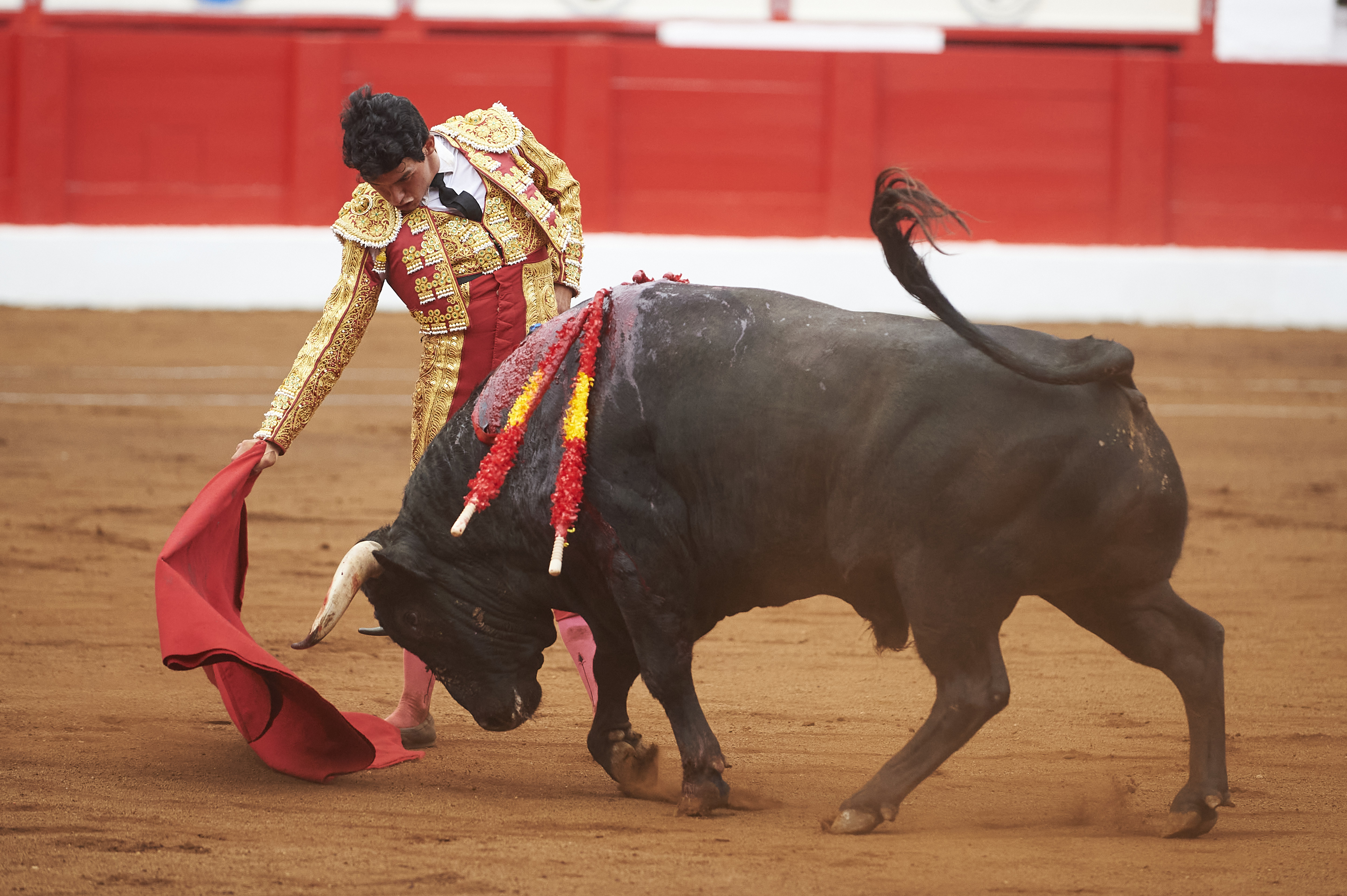 <p>© Foto: César Ortiz</p>