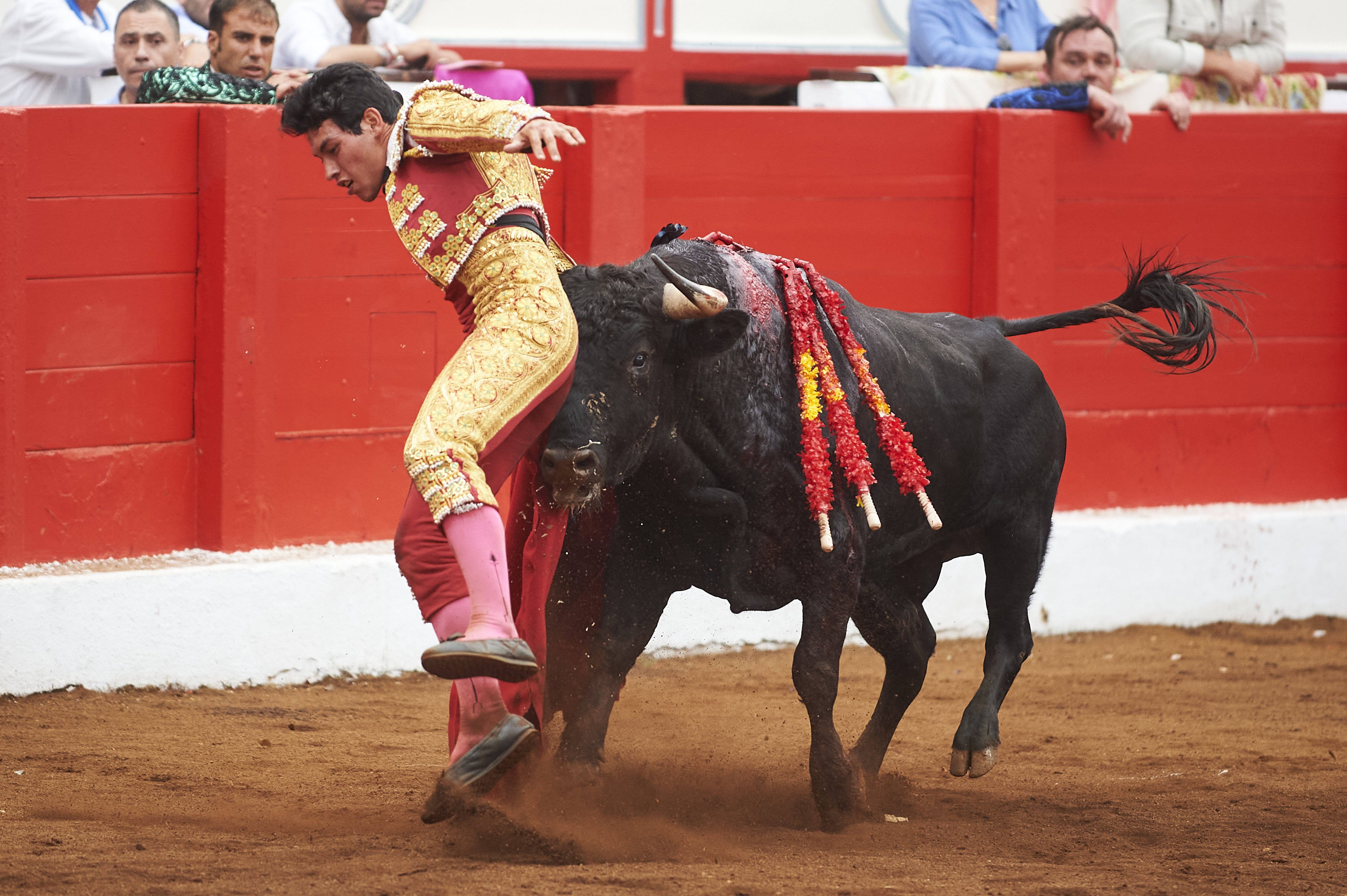 <p>© Foto: César Ortiz</p>