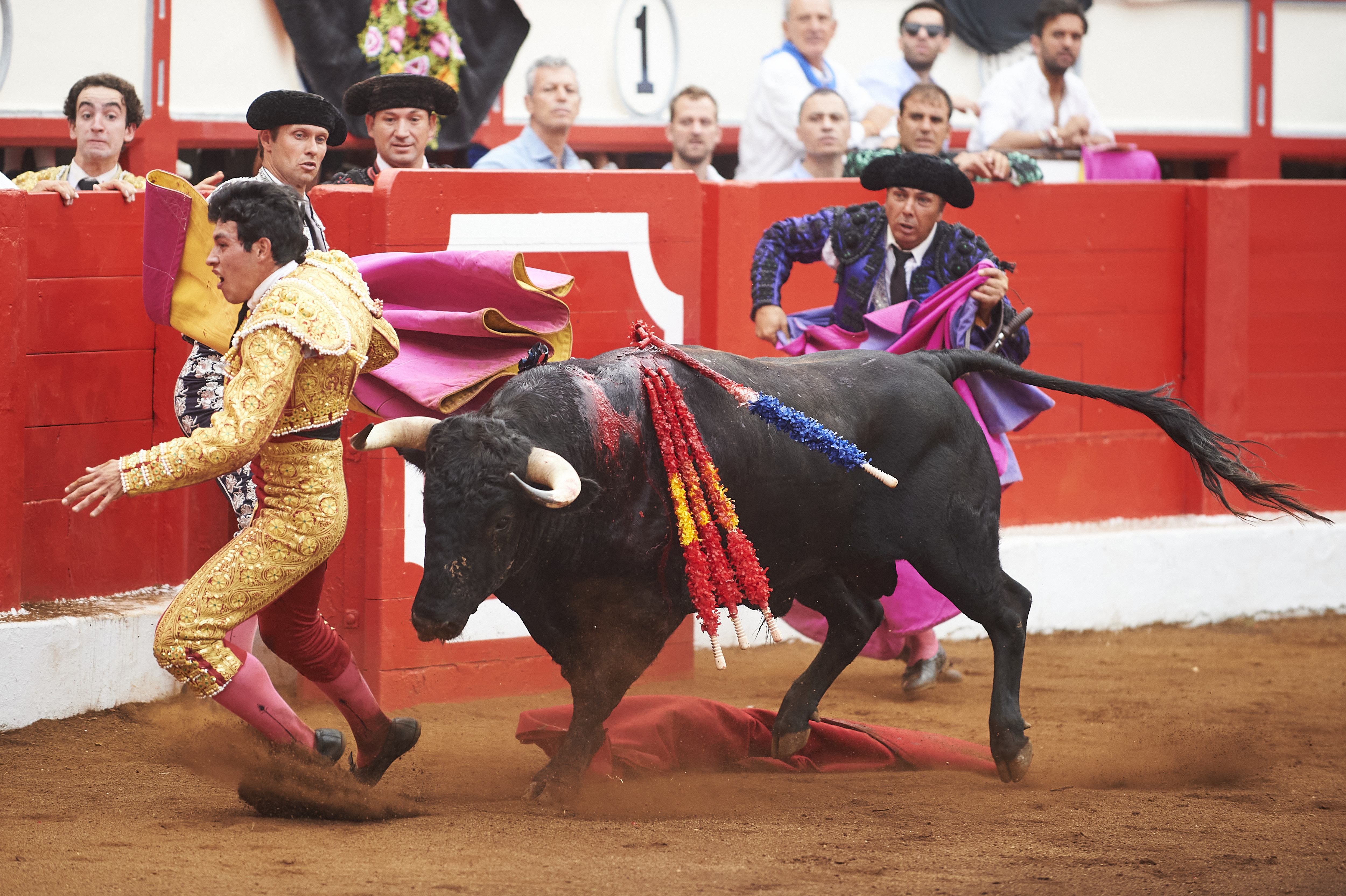 <p>© Foto: César Ortiz</p>