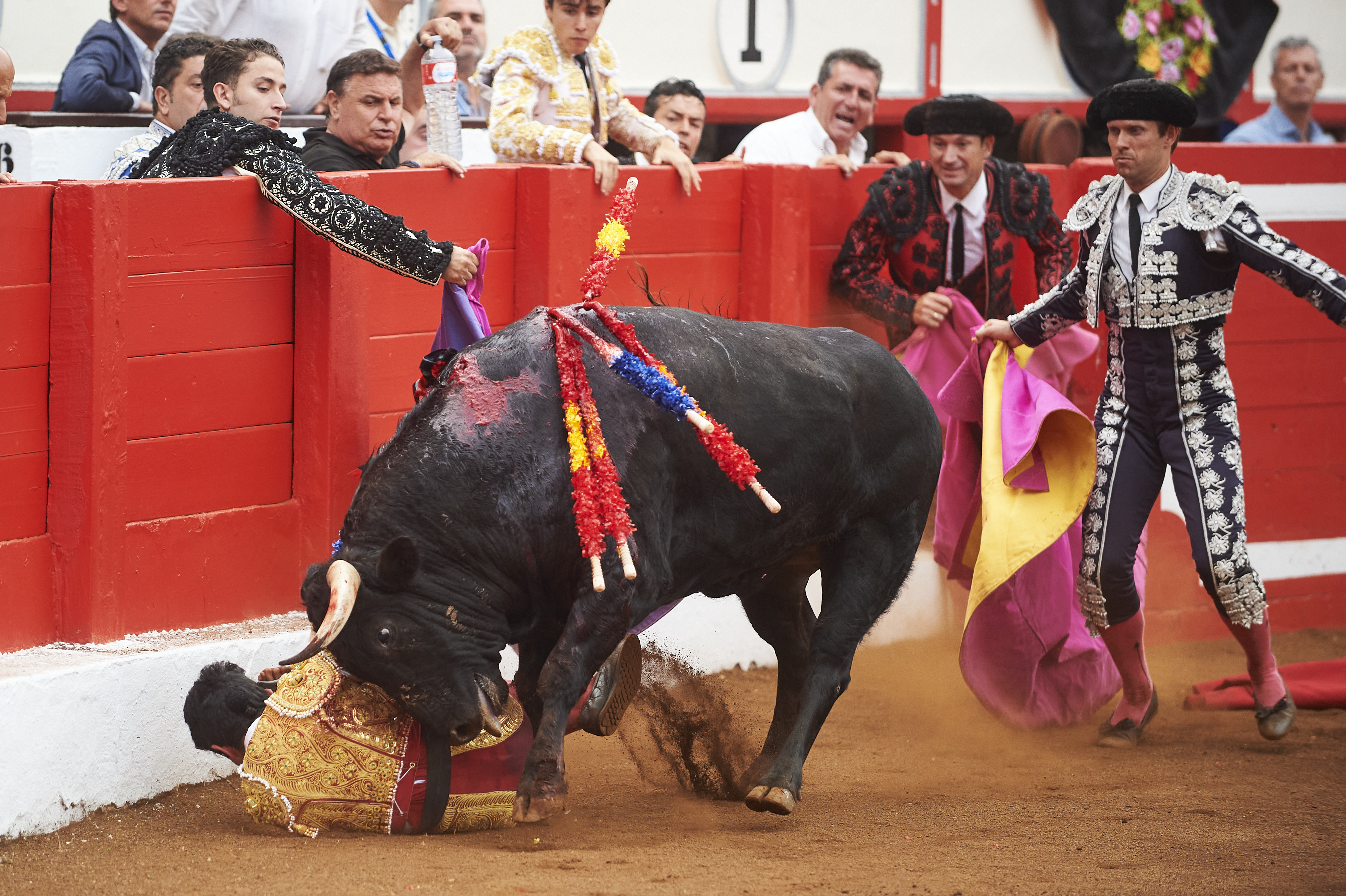 <p>© Foto: César Ortiz</p>