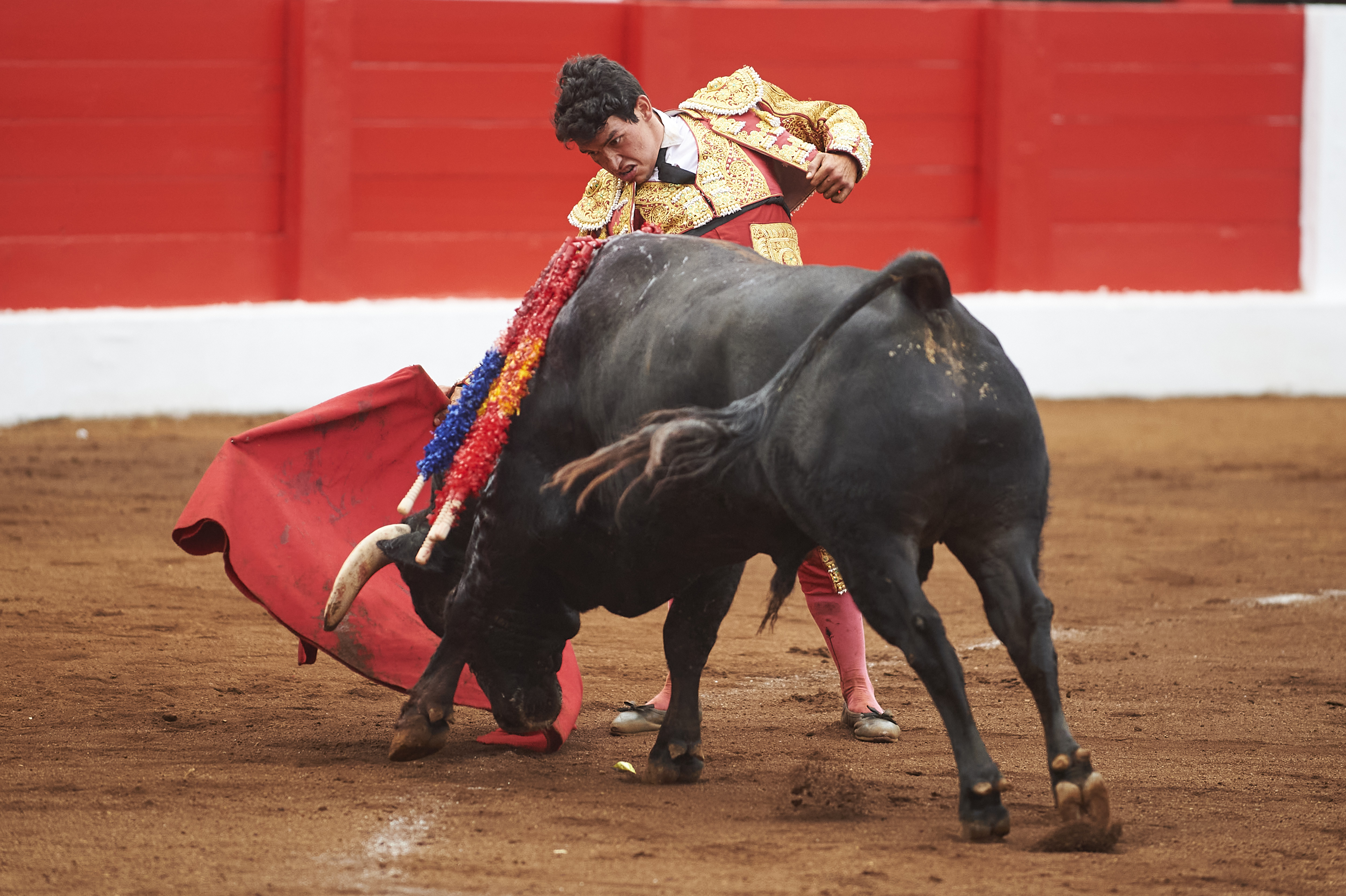 <p>© Foto: César Ortiz</p>