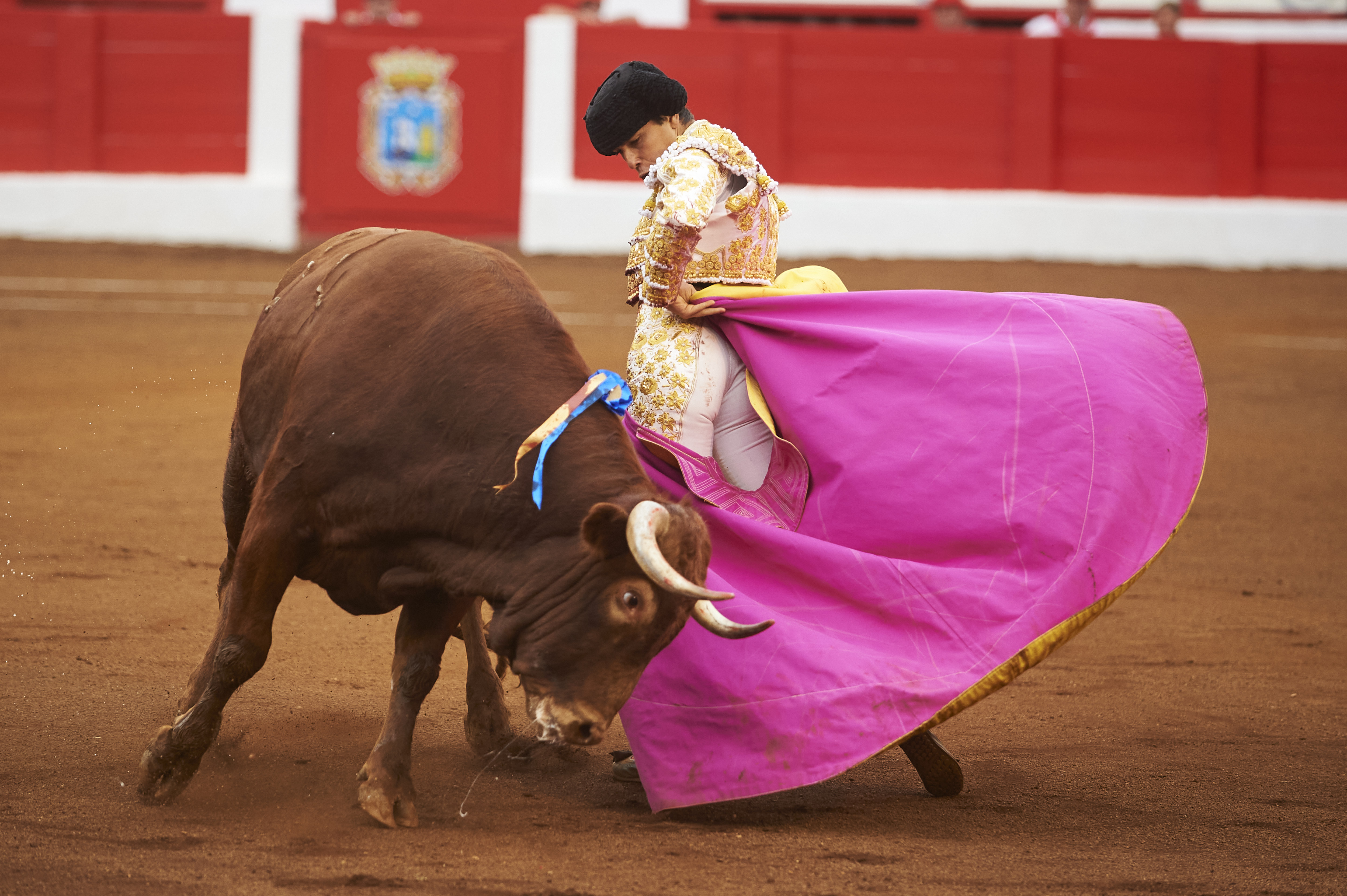 <p>© Foto: César Ortiz</p>