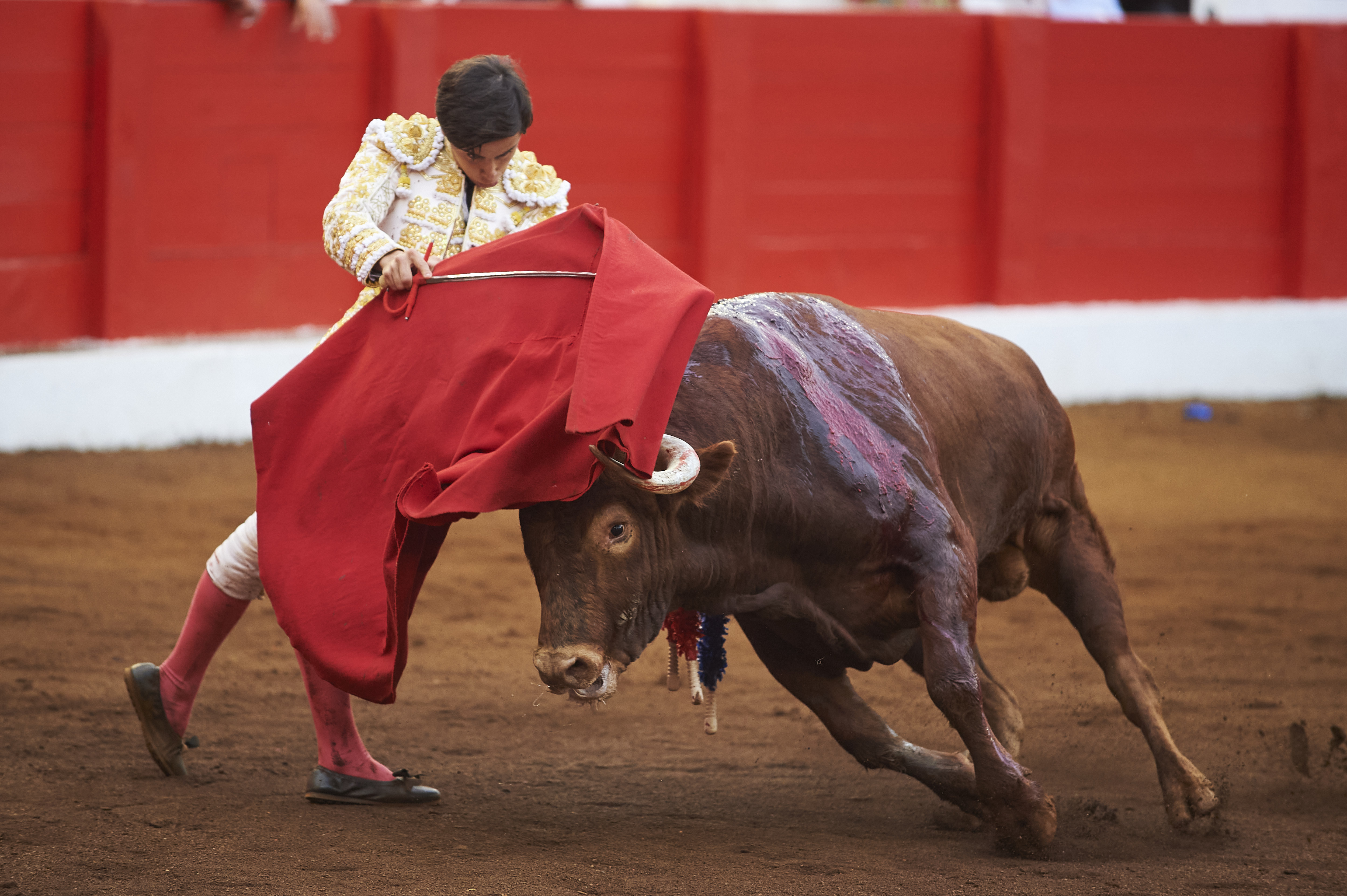<p>© Foto: César Ortiz</p>