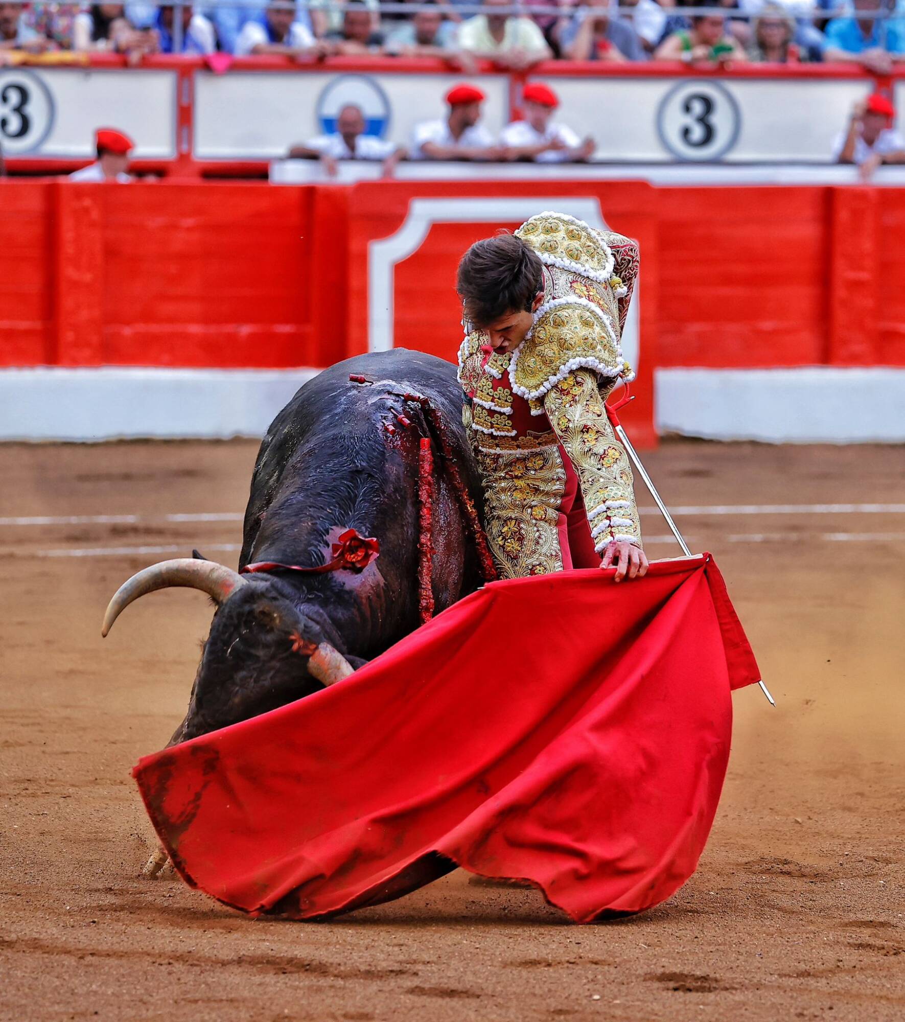 <p>Foto: © Lances de Futuro</p>