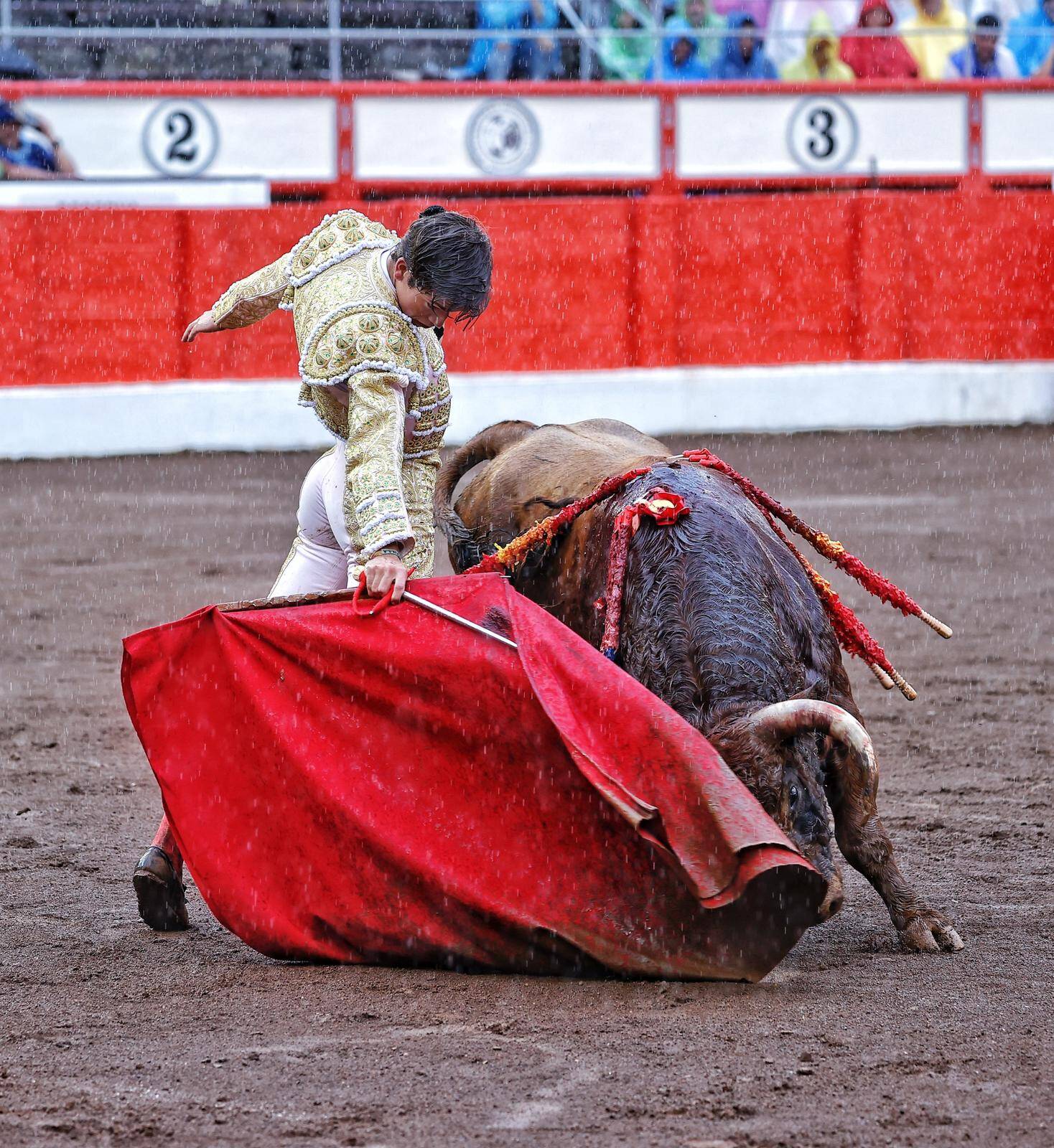 <p>Foto: © Lances de Futuro</p>