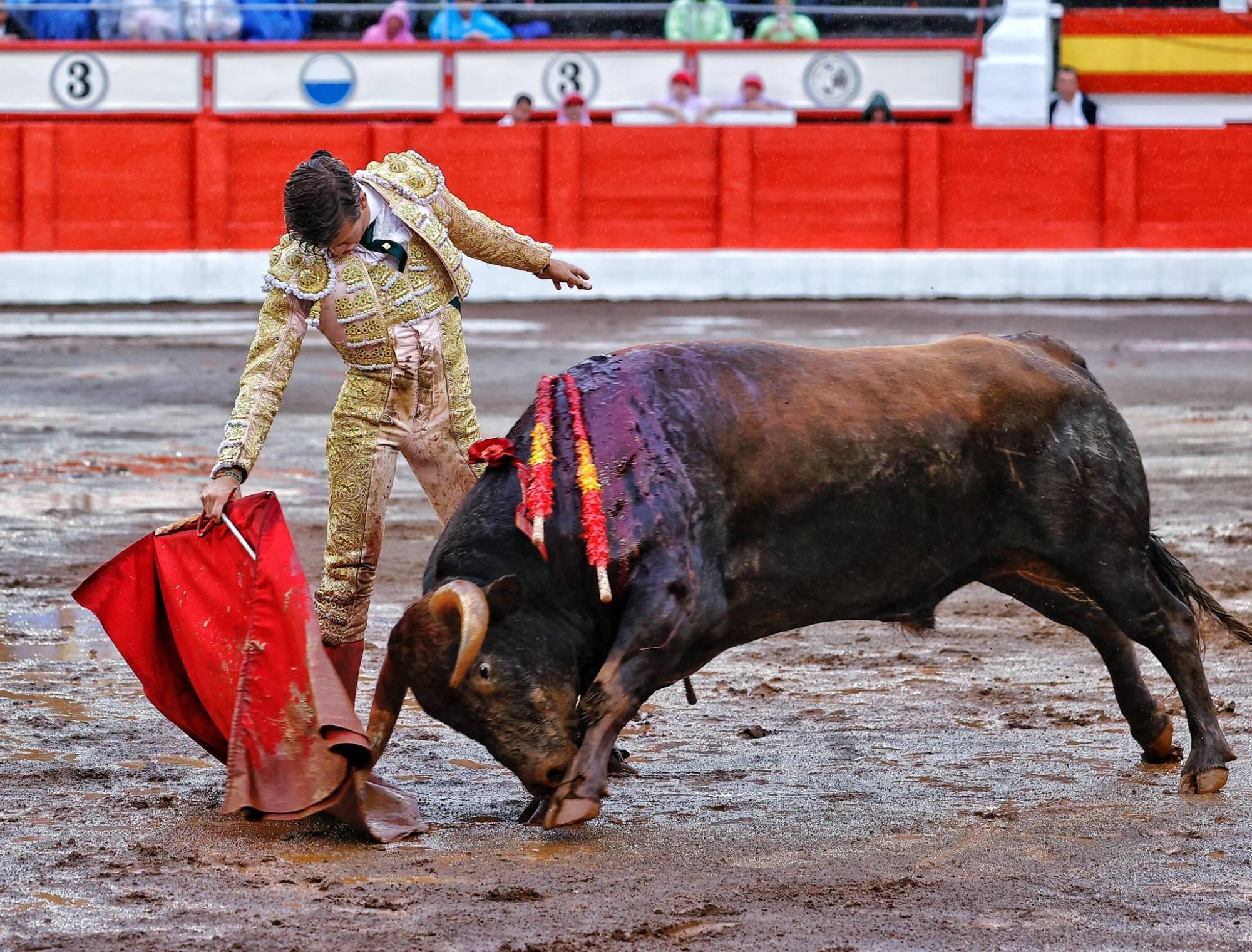 <p>Foto: © Lances de Futuro</p>