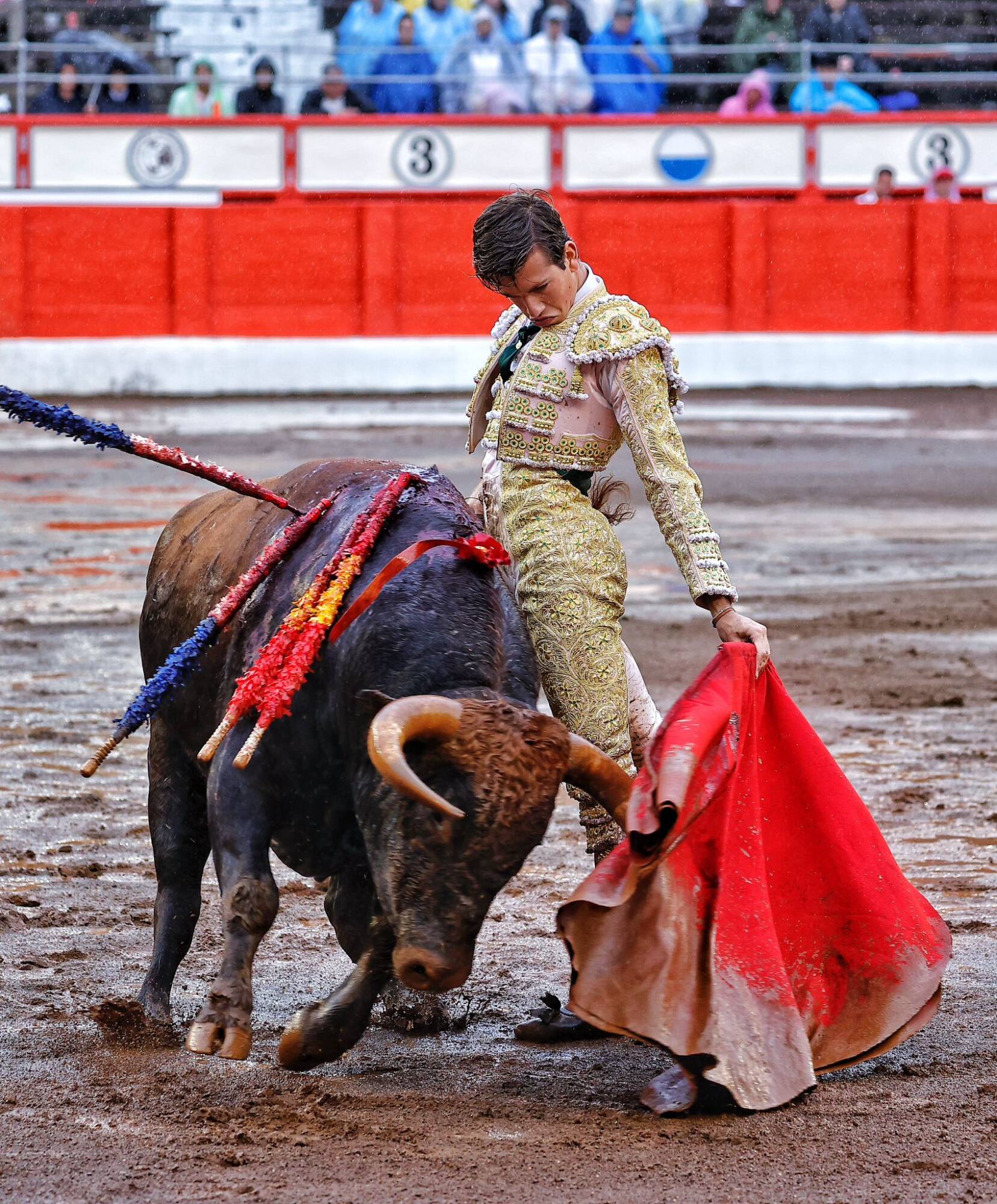 <p>Foto: © Lances de Futuro</p>