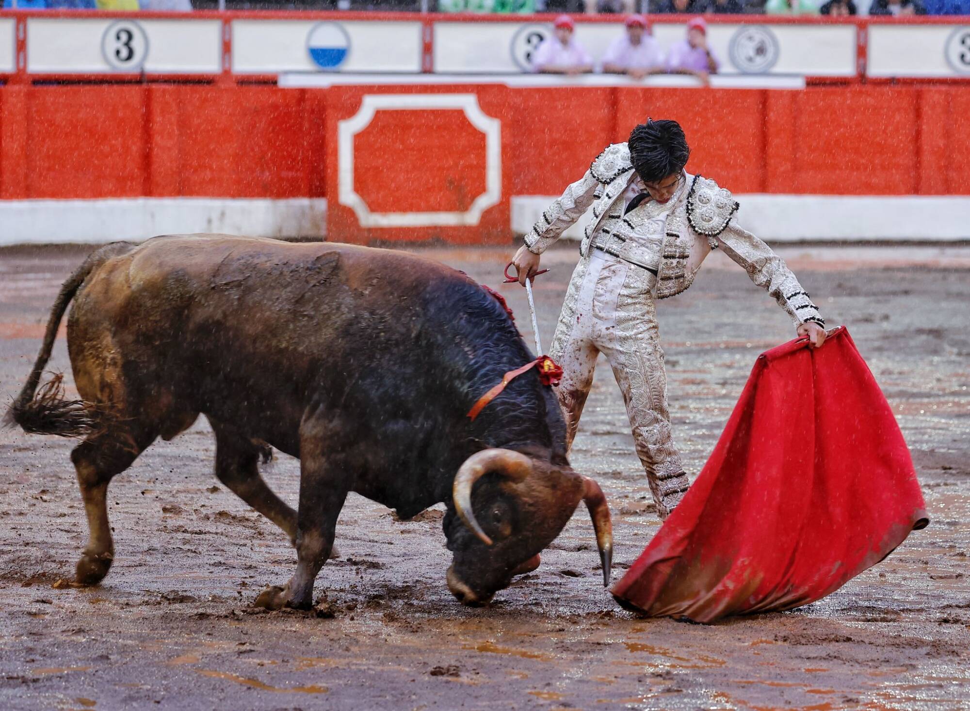 <p>Foto: © Lances de Futuro</p>